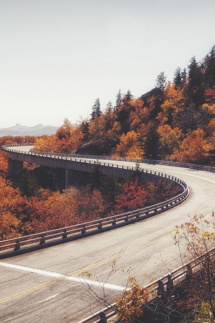 november goals