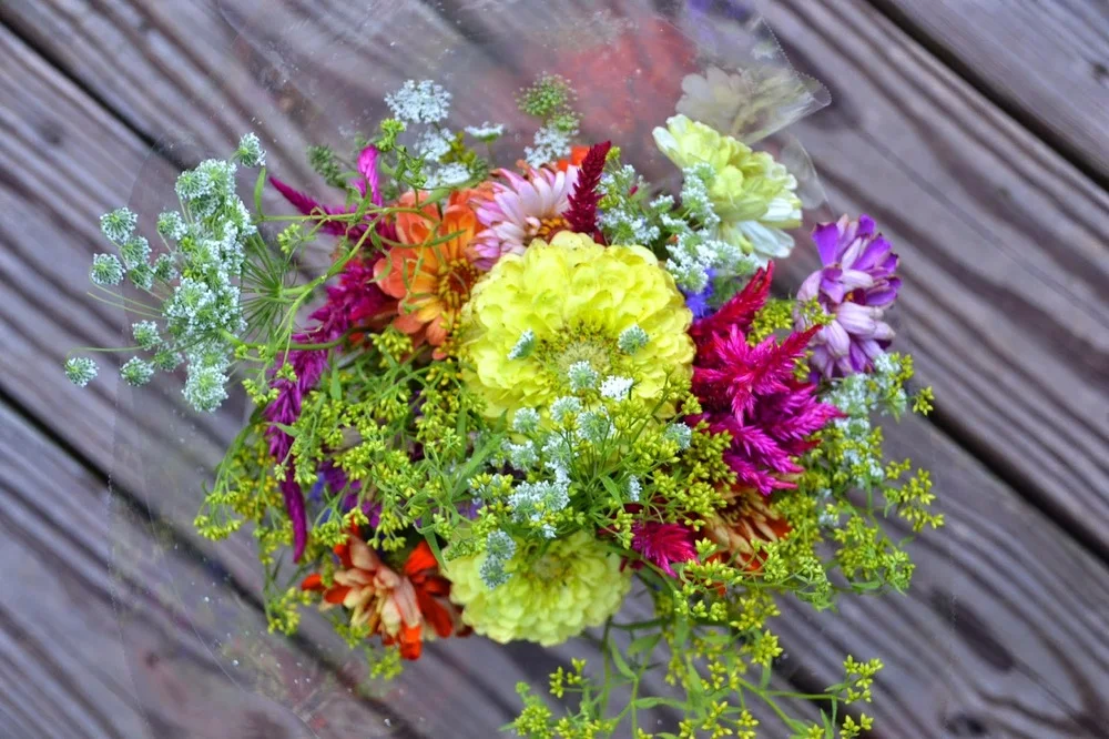 lucky, lucky, lucky me