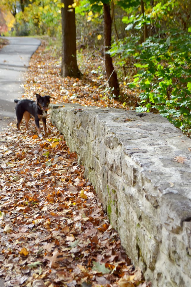 Good Morning, November