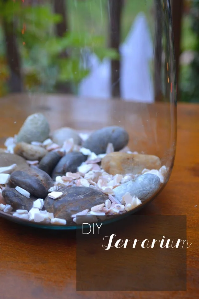DIY: terrarium