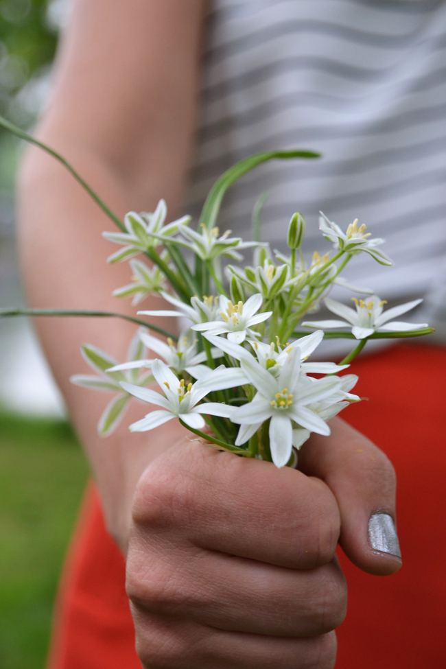 Spring Goals