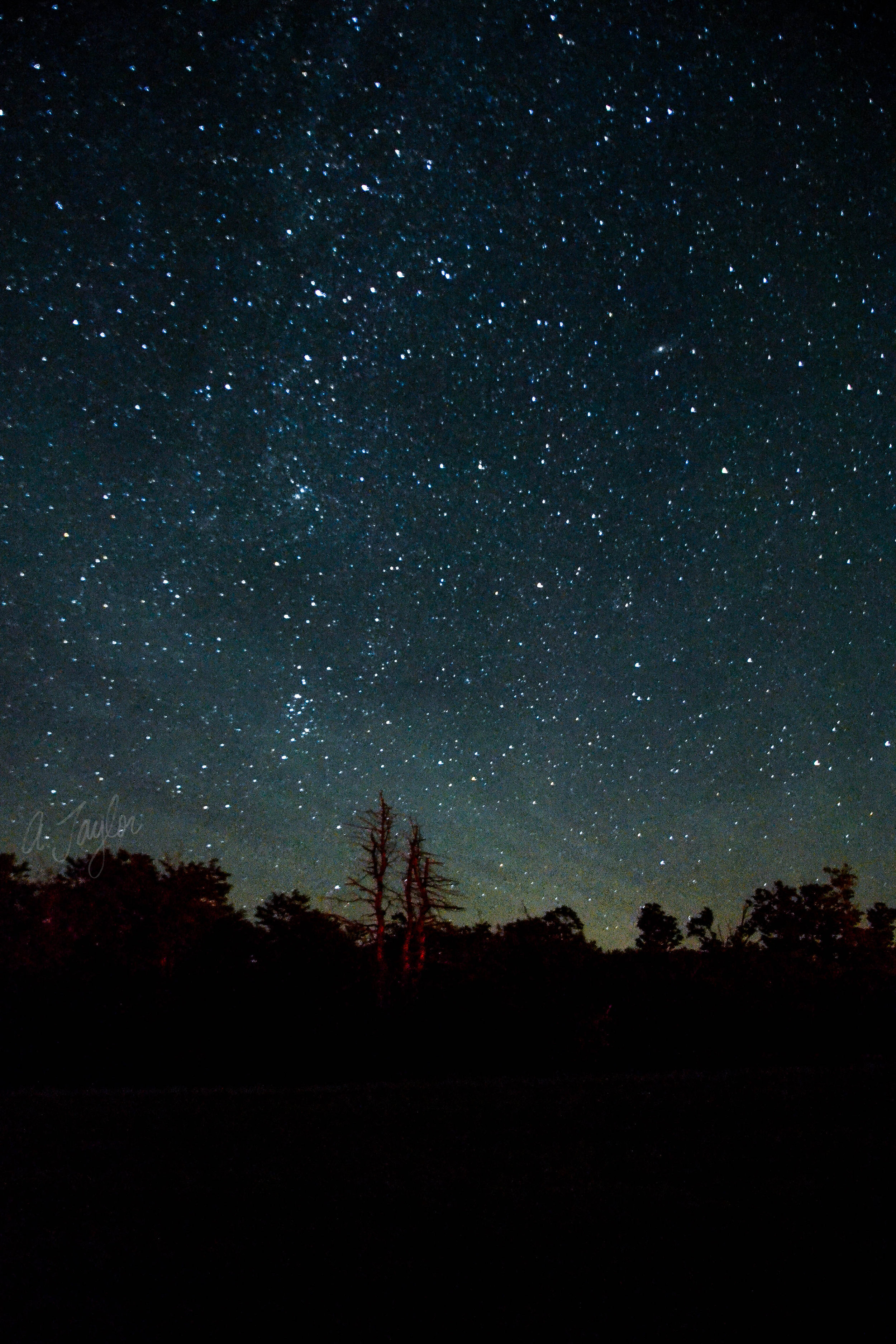 Road Trip | Wild Dark Skies