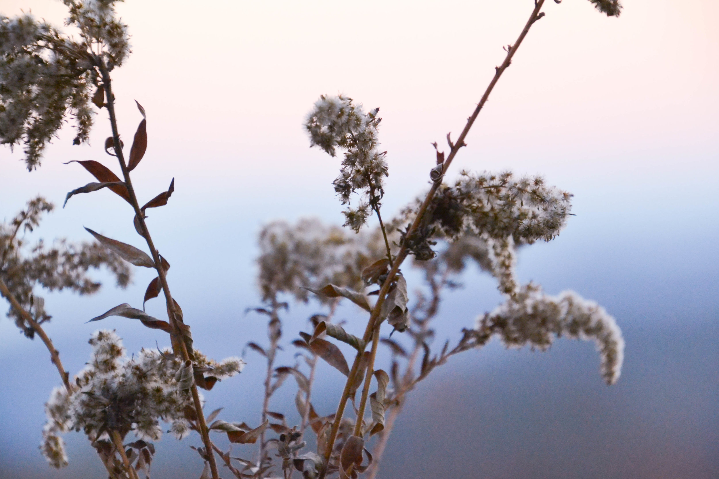 shenandoah_hike-9.jpg