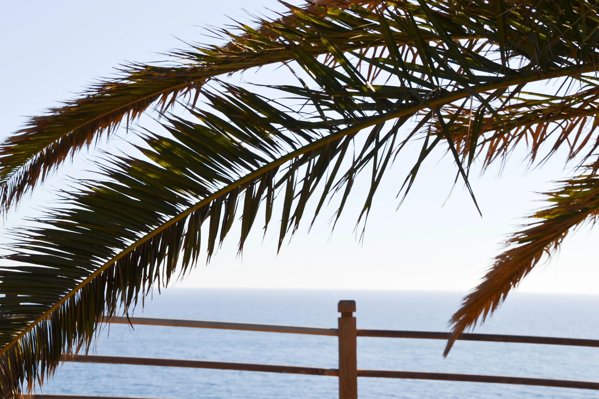 last-glimpse-of-socal-16.jpg