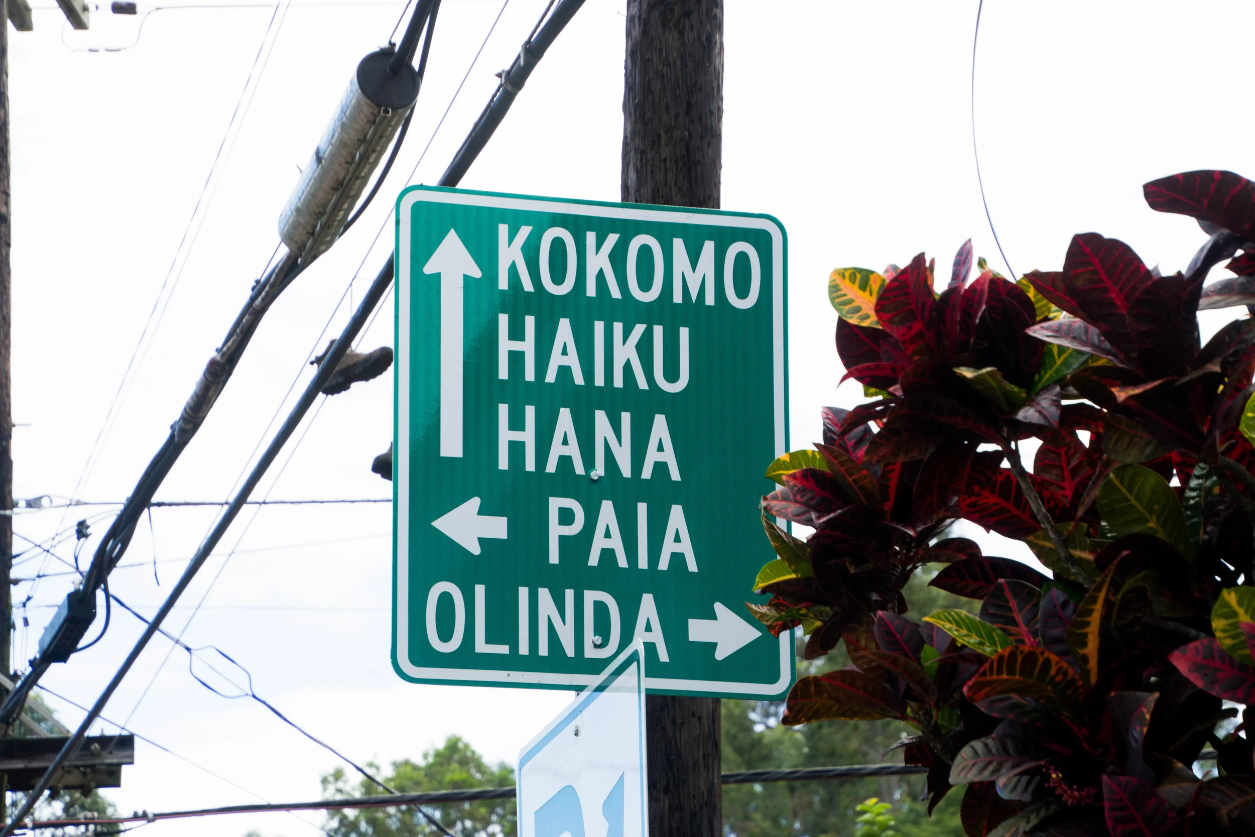 haleākaka _ luau-5.jpg