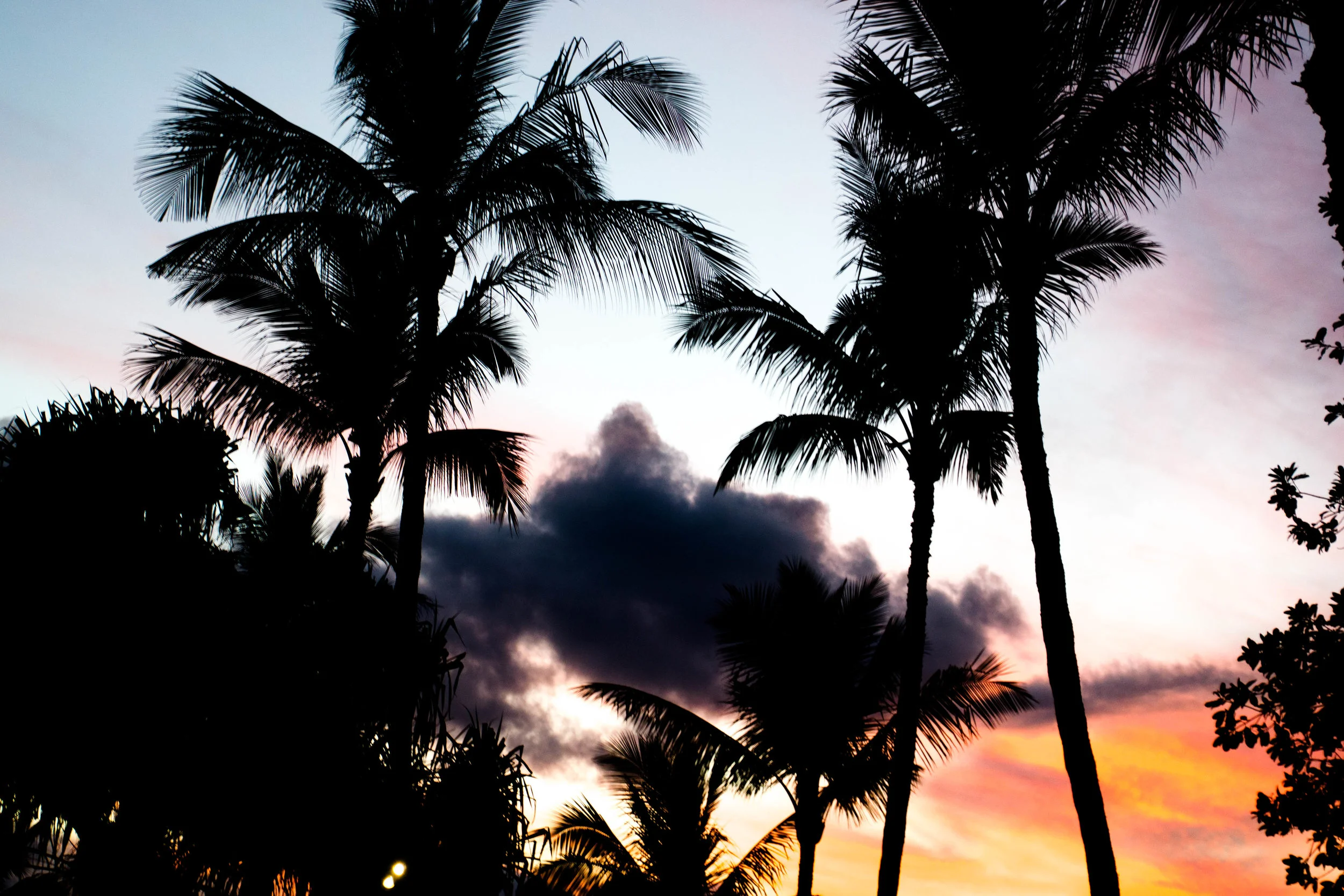 haleākaka _ luau-27.jpg