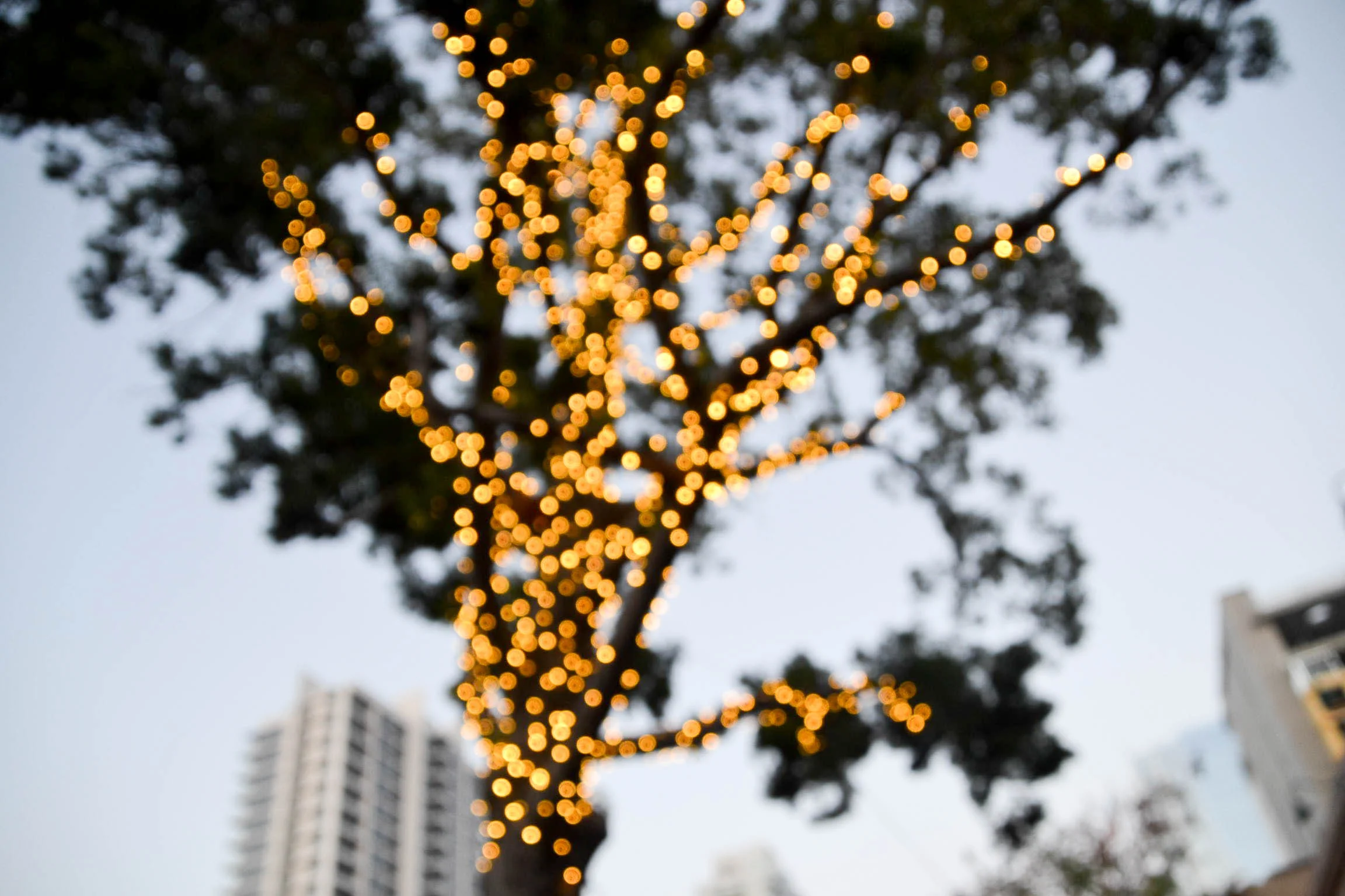 san diego edit 2018-5.jpg