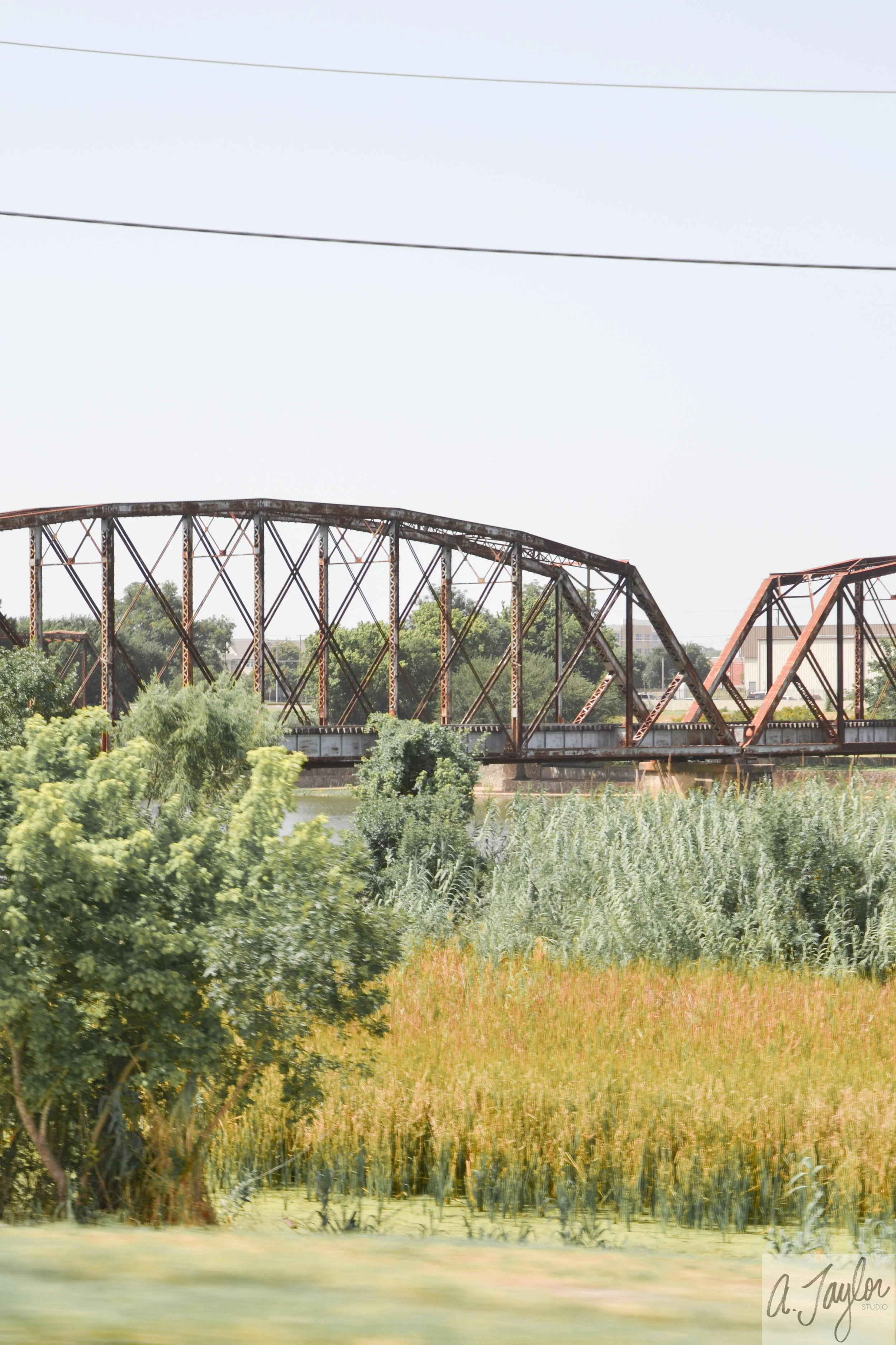 hico-3.jpg