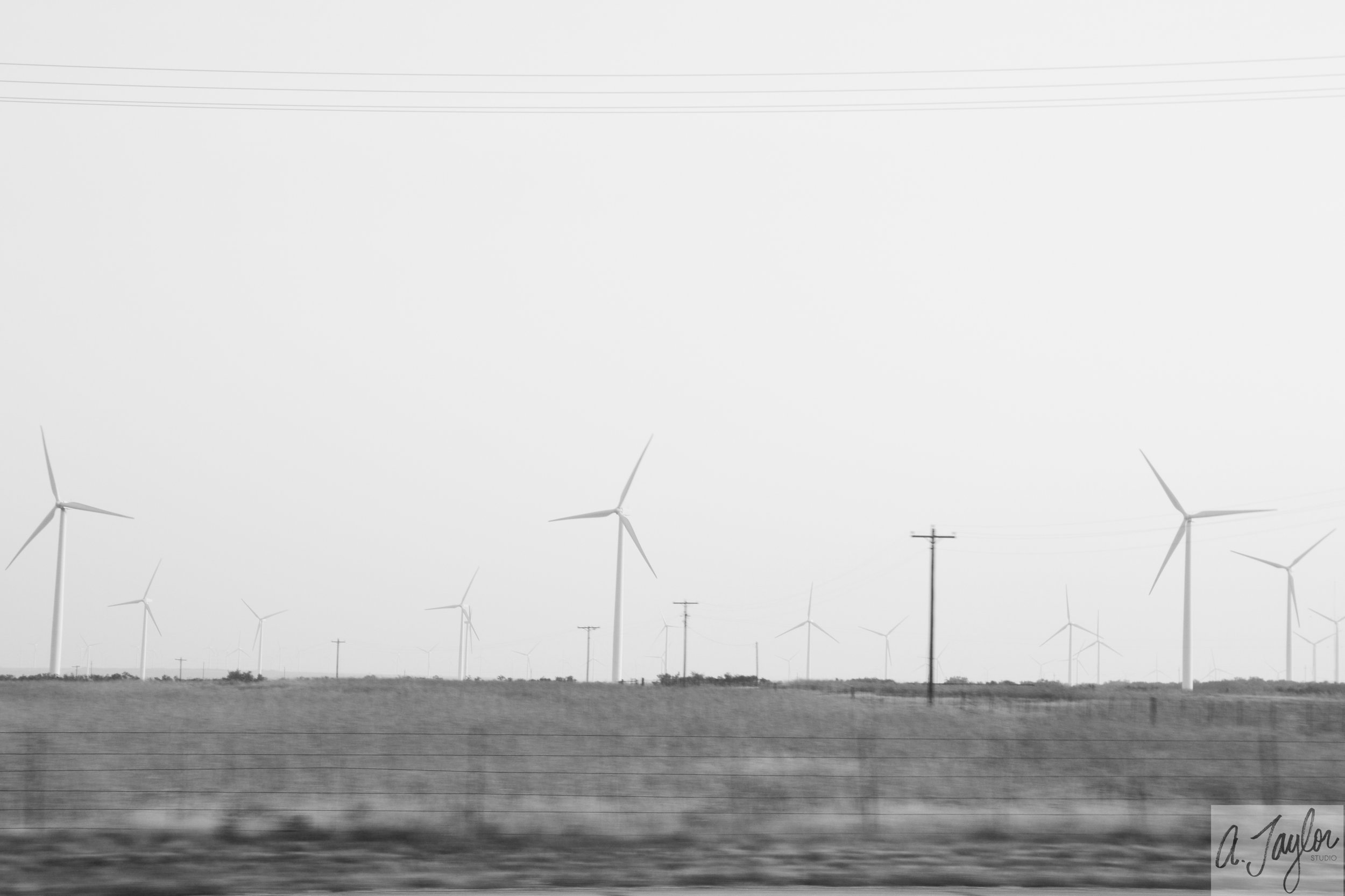 alpine and abilene-5.jpg