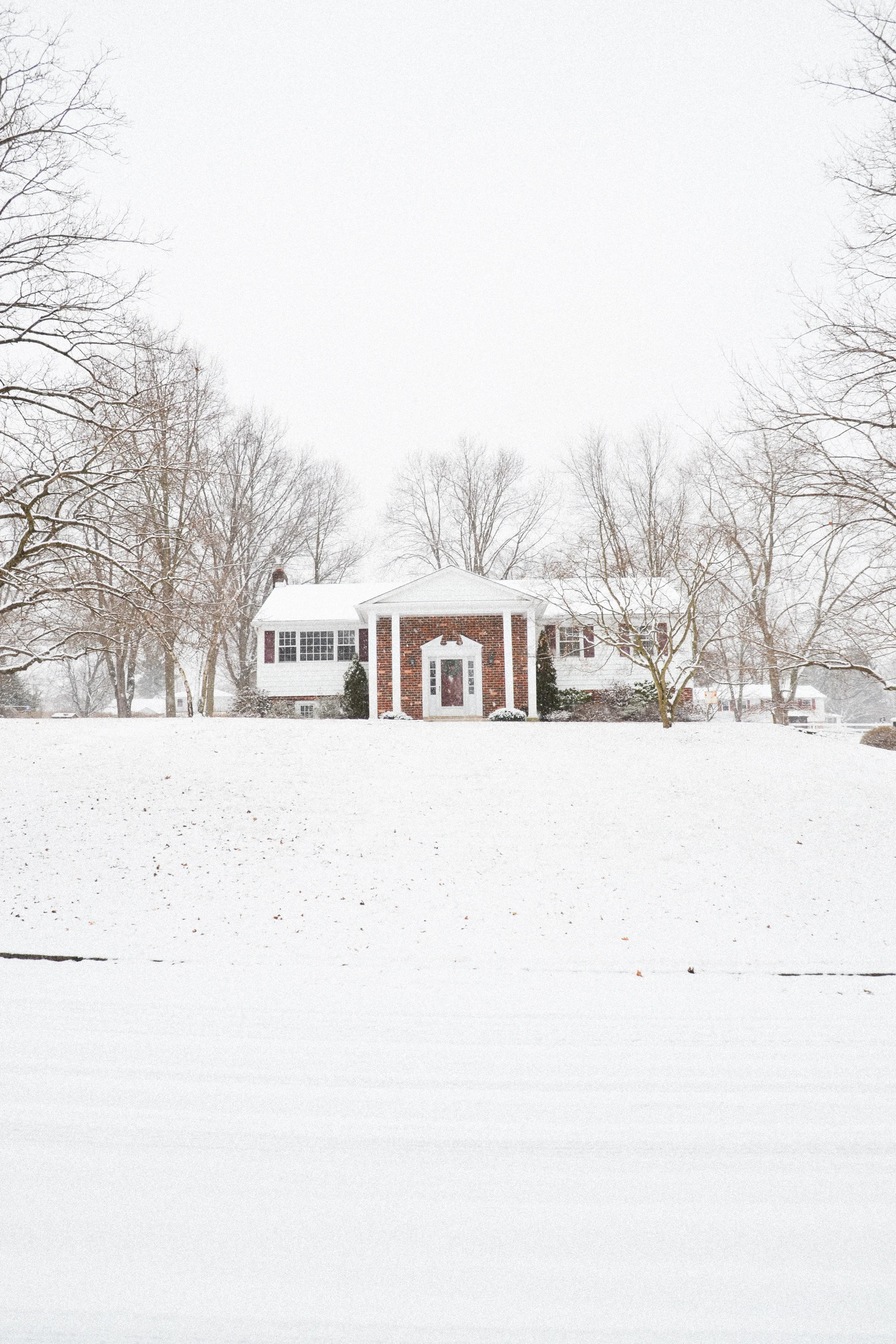 Snow Day