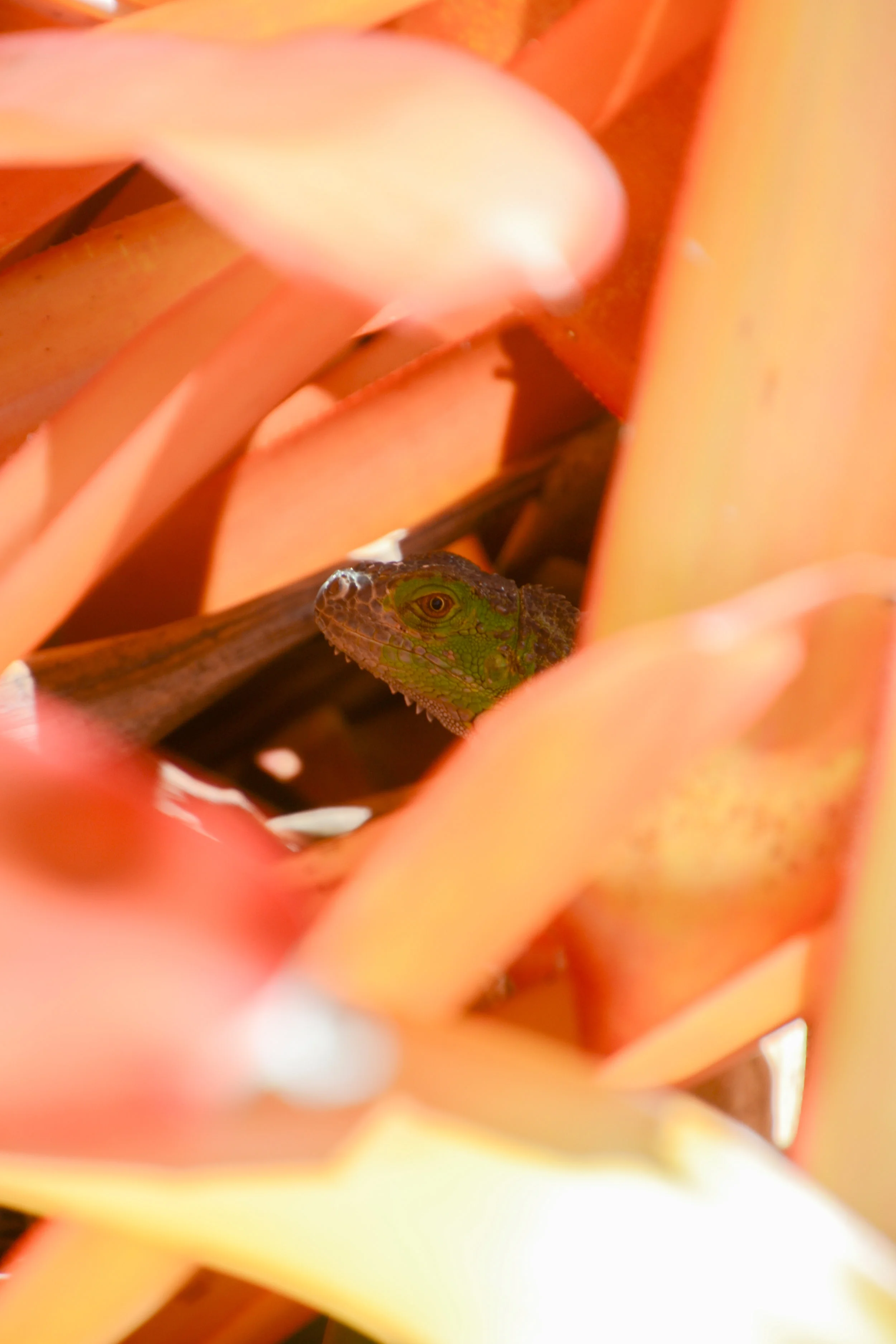KeysEdit_Day1-8.jpg