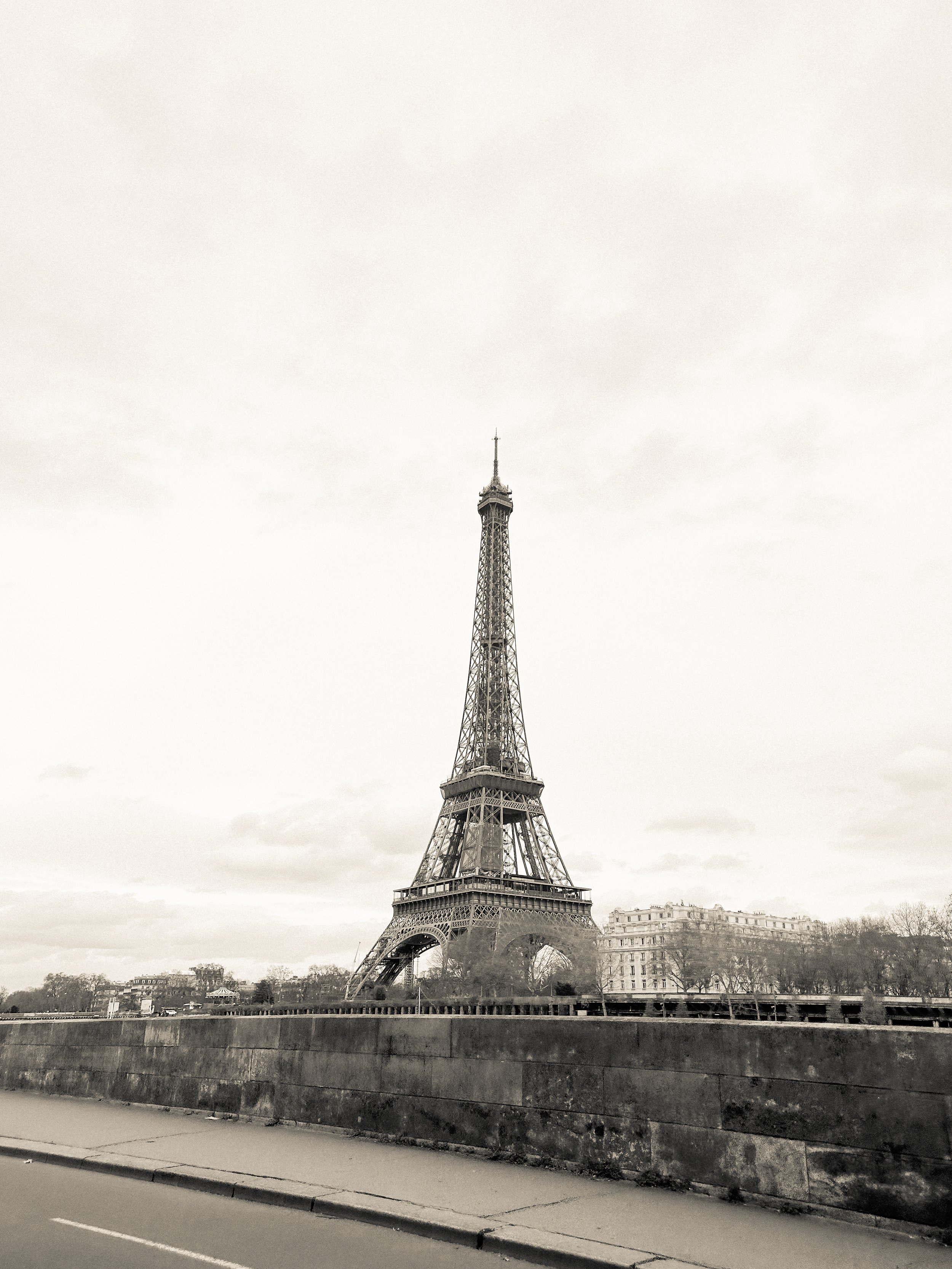 surprise-from-paris-5.jpg