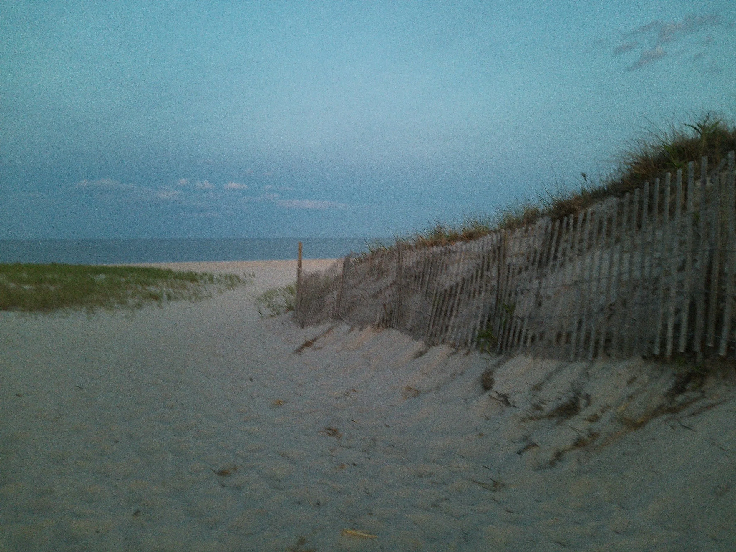 DSCF0345.JPG