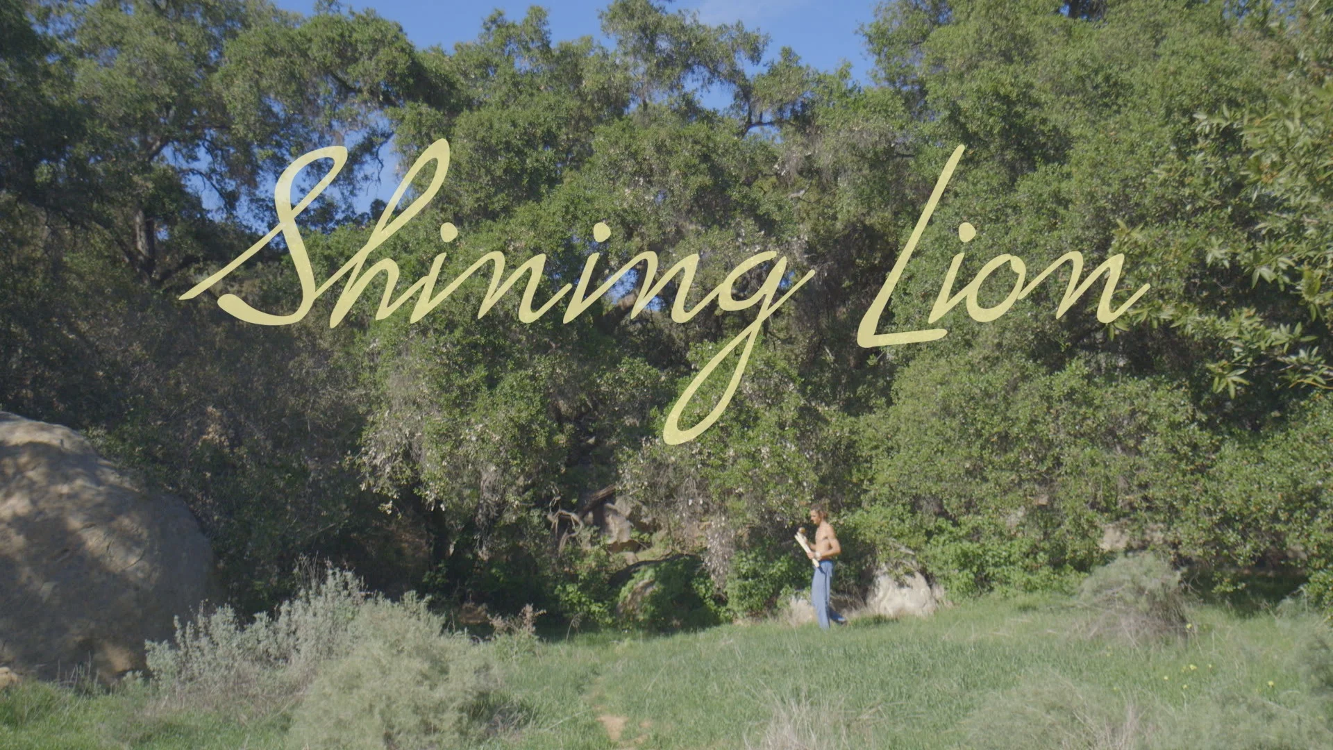 Shine_1.jpg