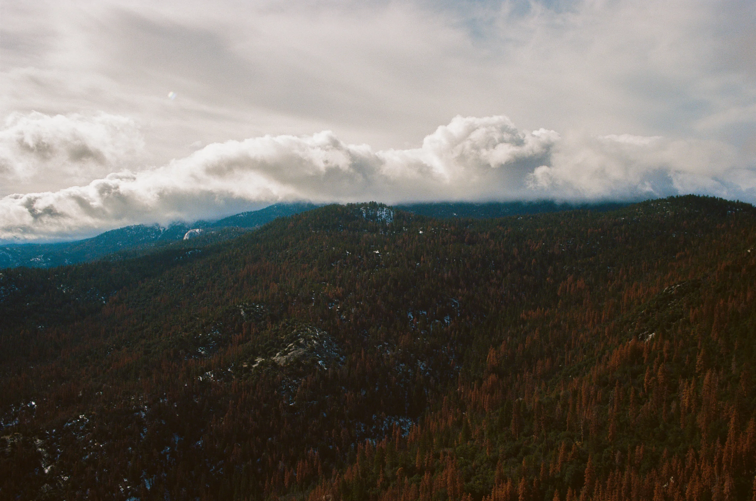 Needles_Gil_LR-00010014.jpg