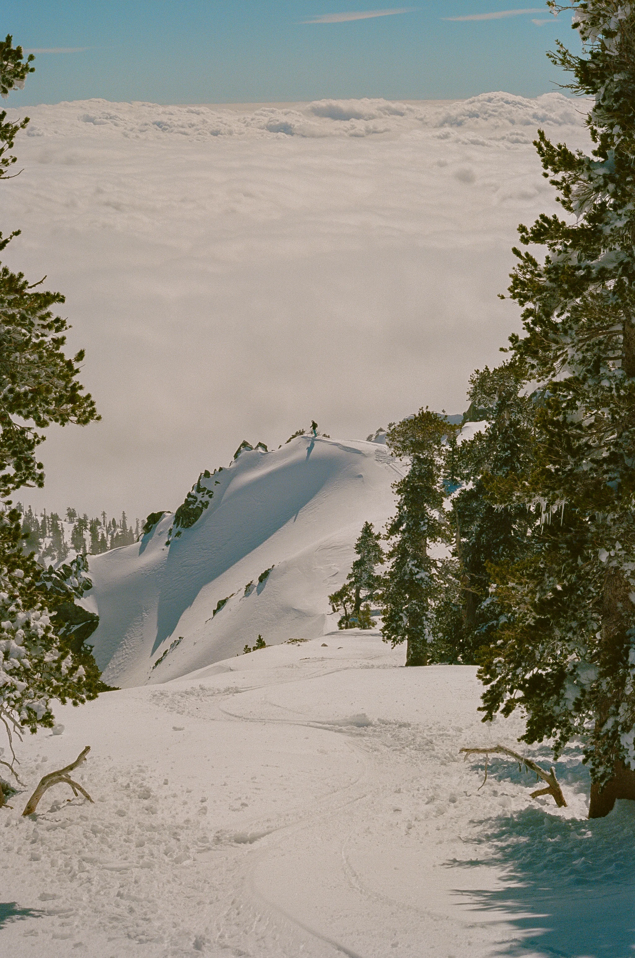Baldy_Ski_FILM2-35.jpg