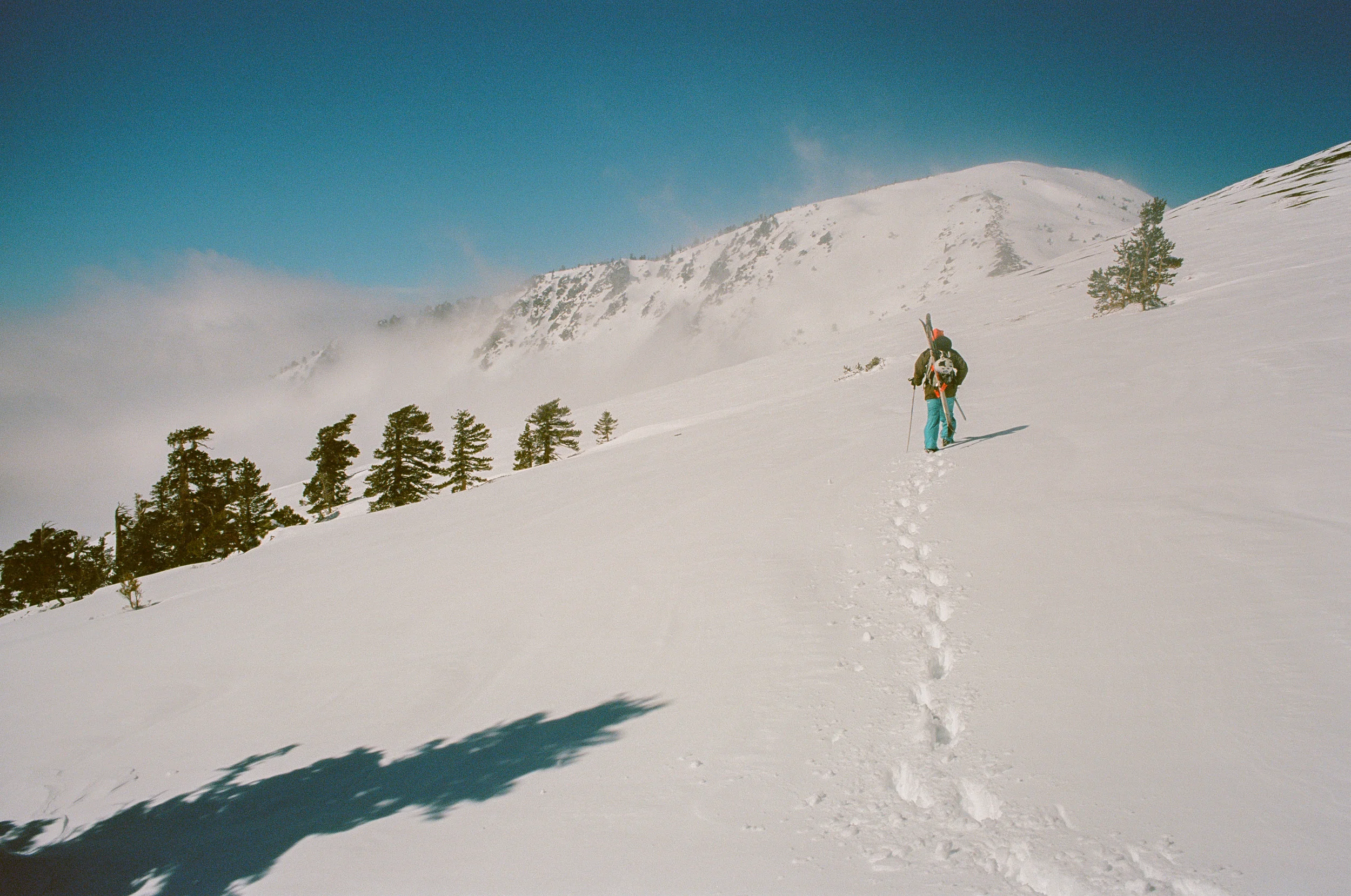 Baldy_Ski_FILM2-22.jpg