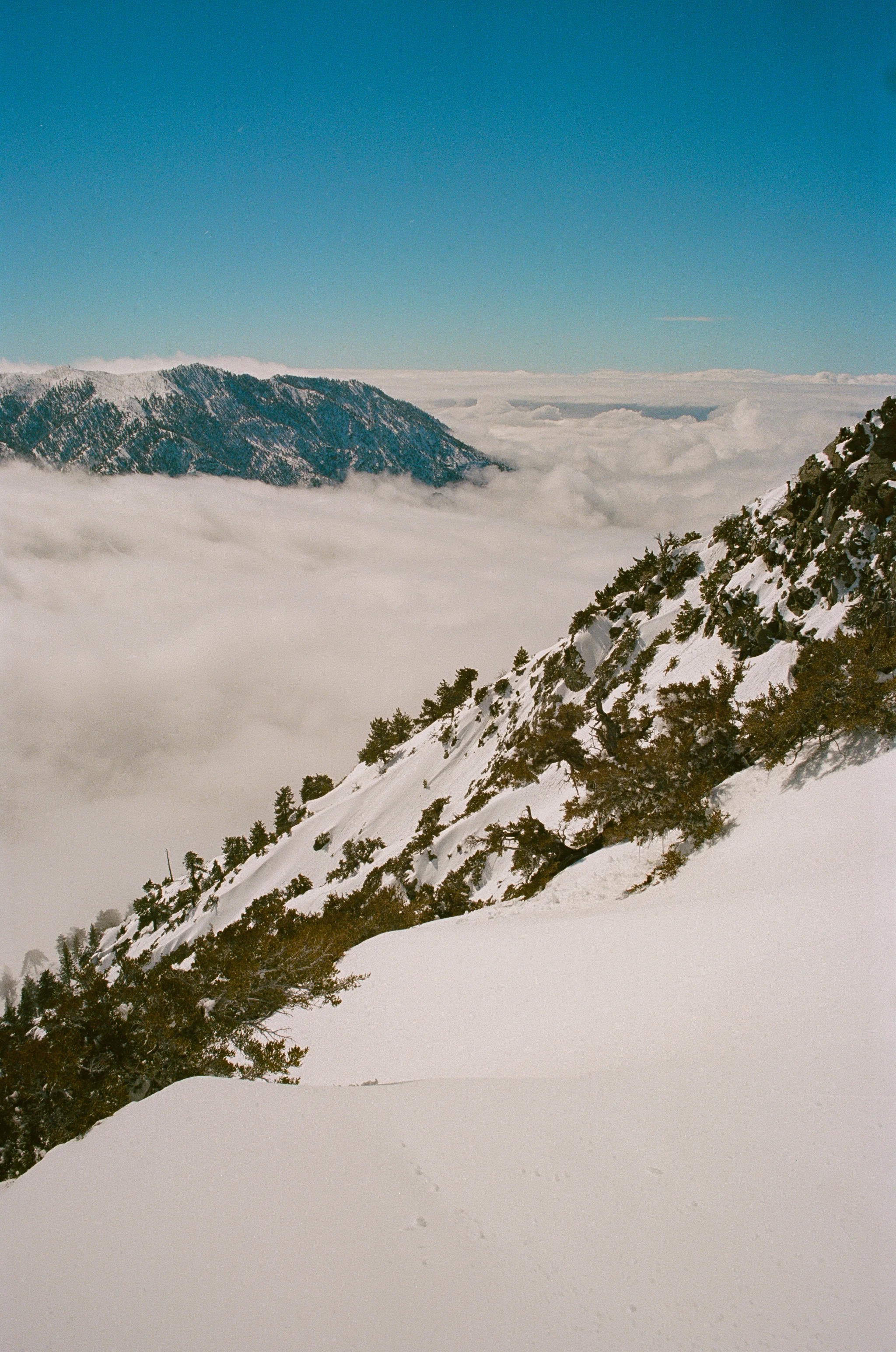 Baldy_Ski_FILM2-19.jpg
