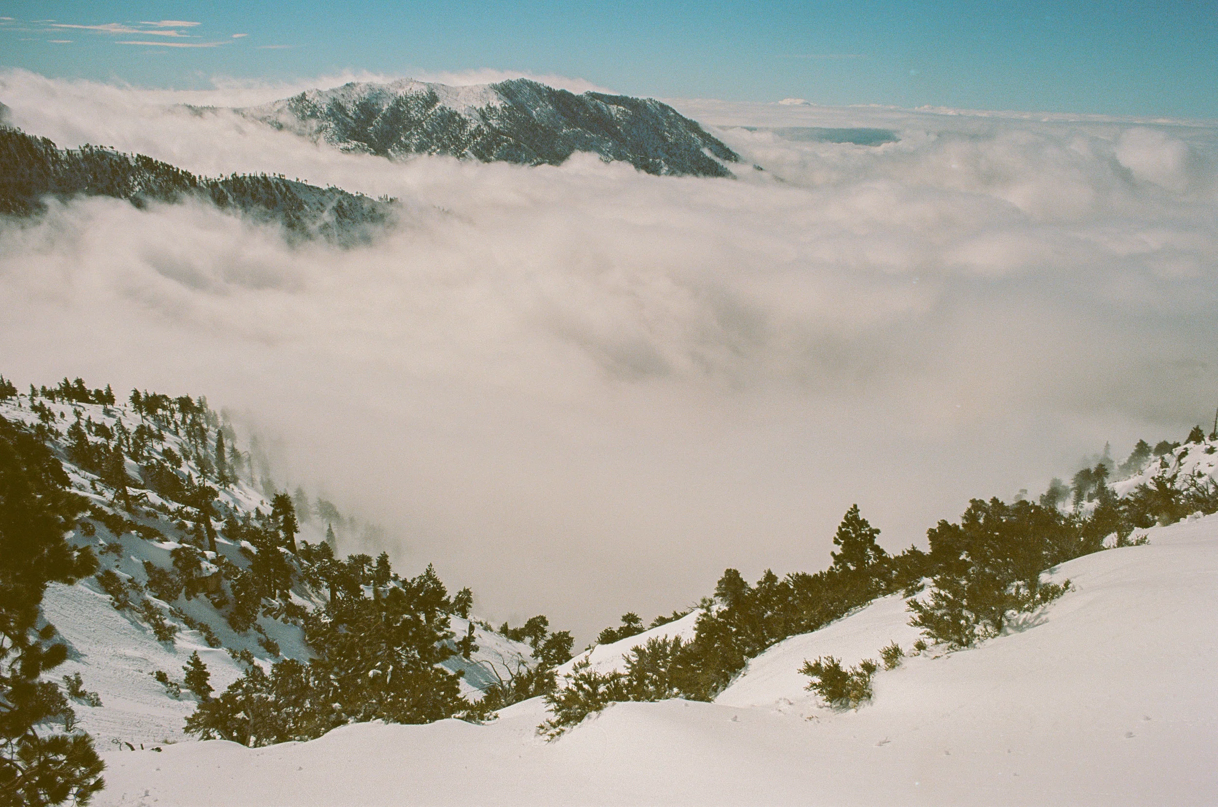 Baldy_Ski_FILM2-15.jpg