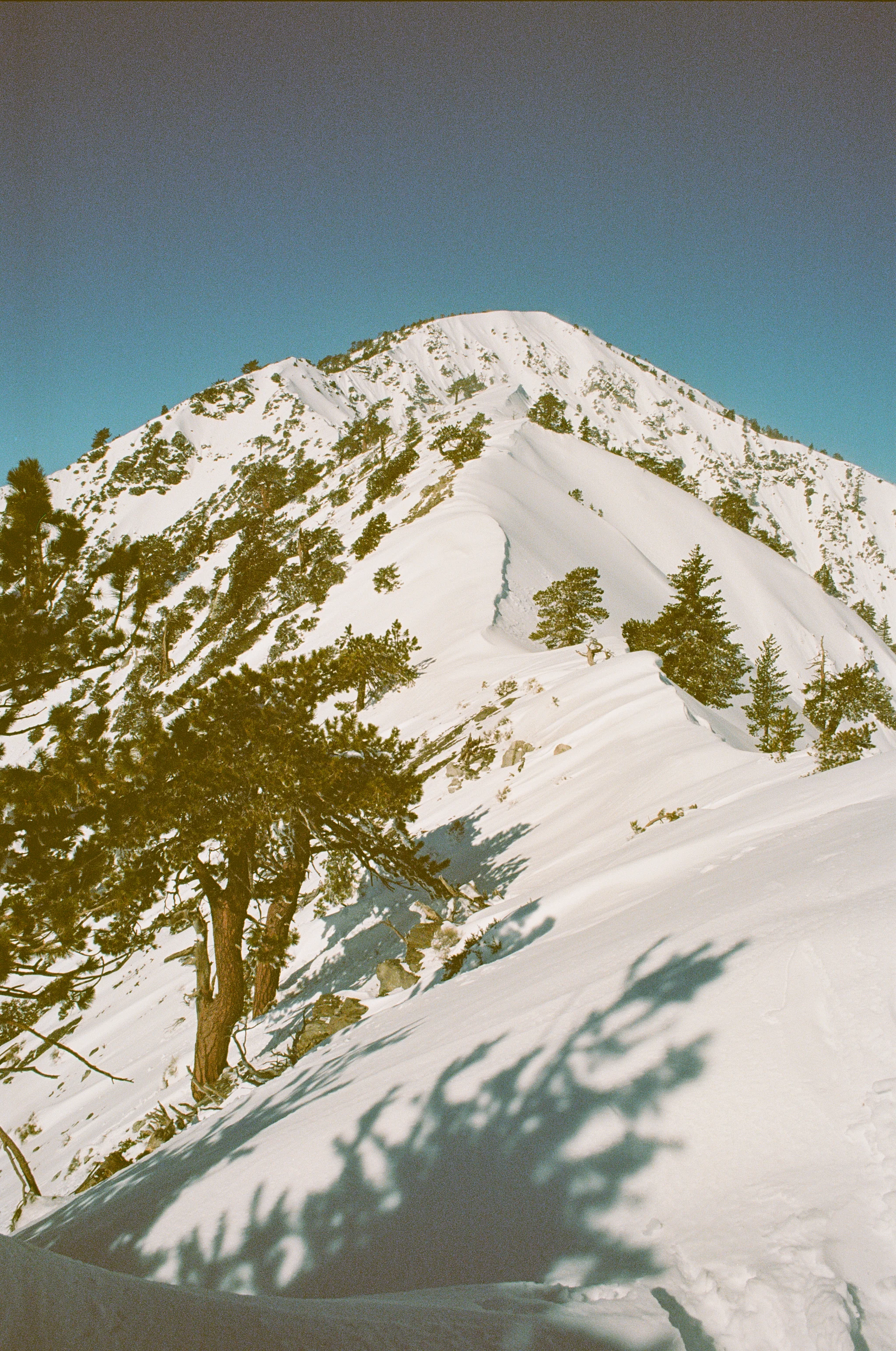 Baldy_Ski_FILM2-13.jpg