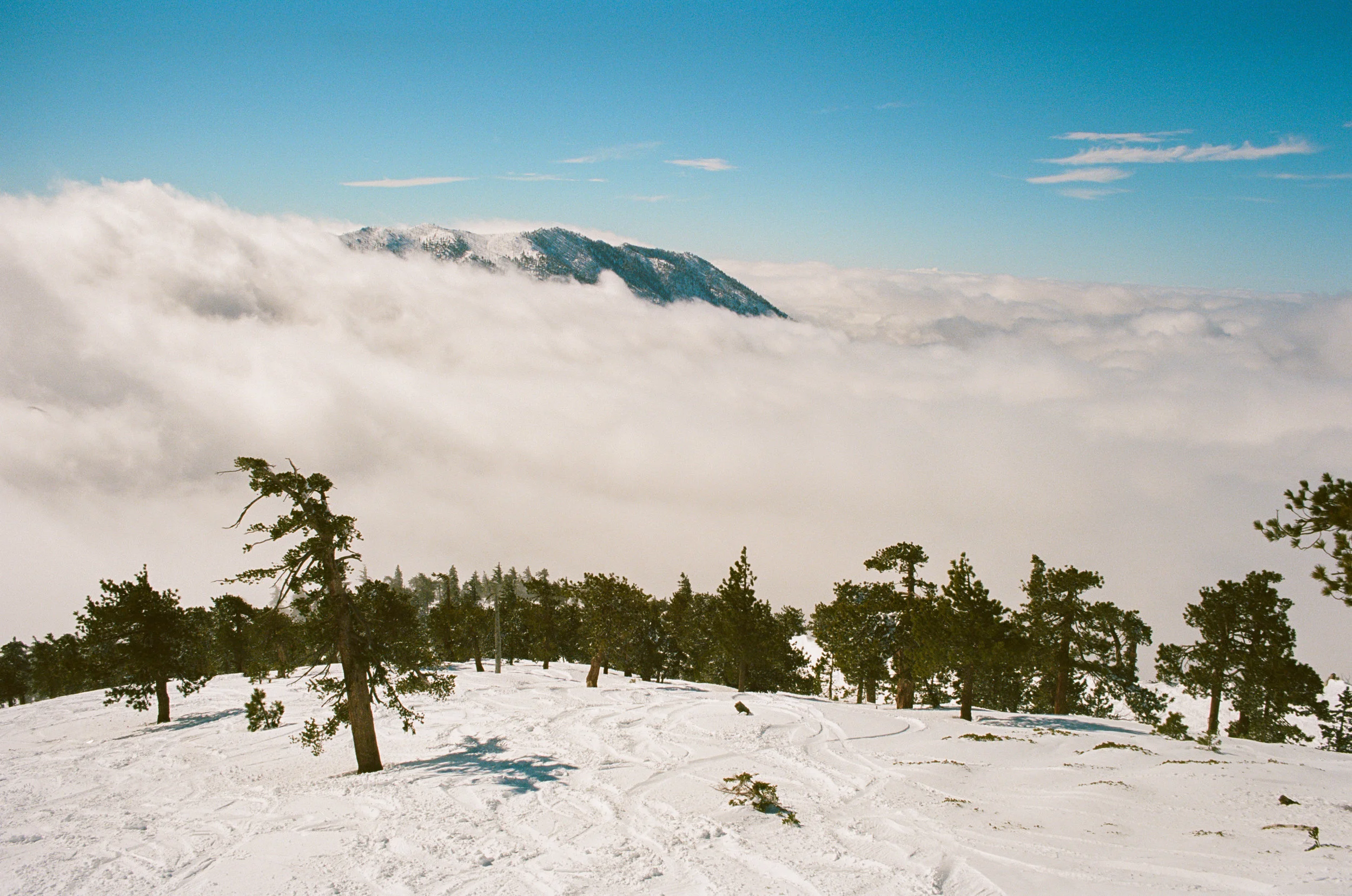 Baldy_Ski_FILM2-9.jpg