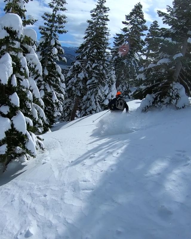 My brother @cheechsander carved this nice floaty line through the trees underneath Mt Tallac, and rolled it straight in to an awesome best man speech for @alex_clarey on a perfect day 🙏🏽🌞❄️
.
Christian is hard to keep up with, but it&rsquo;s alway