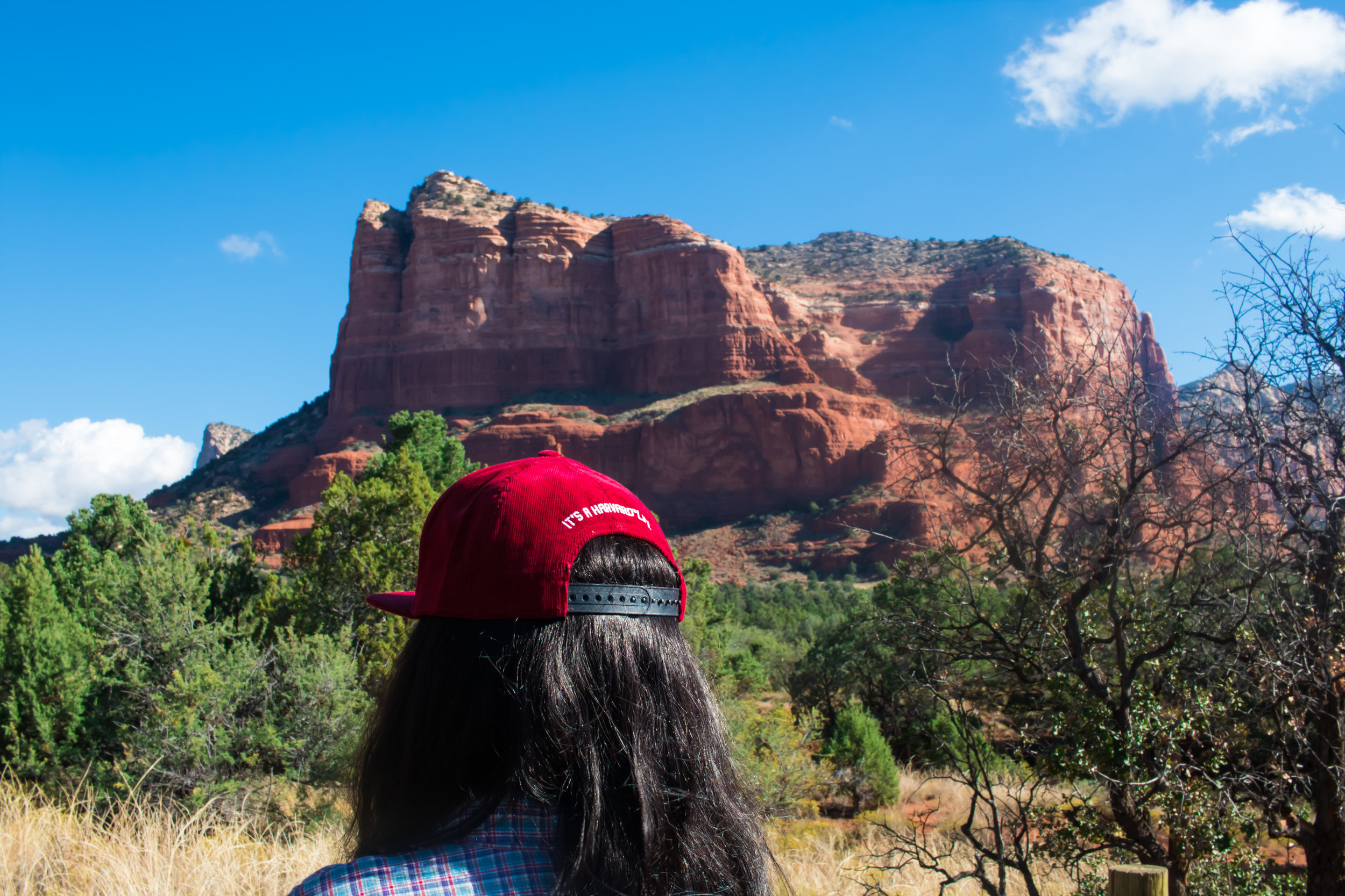 Edited pre Sedona View.jpg