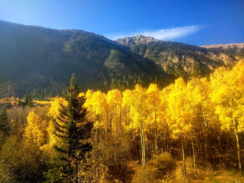 Ten-Day Vipassana Retreat for Experienced Students