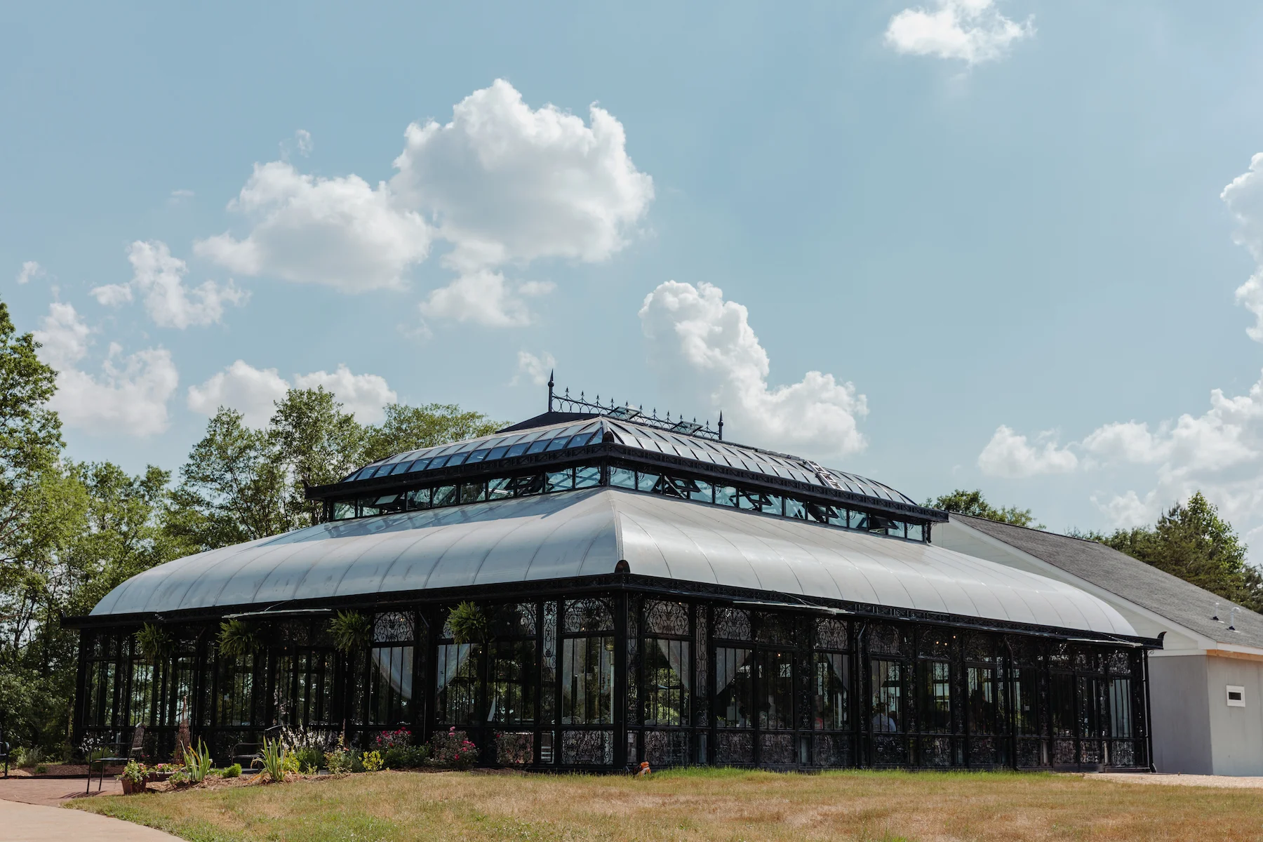 Edinburgh West Wedding Taylors, SC (Alex & Nicole) — Wedding