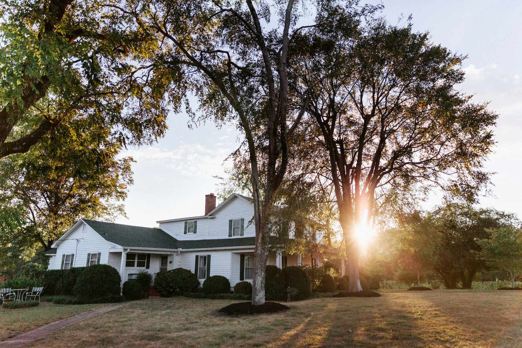 Baker Buffalo Creek Vineyard | Lawndale, NC (Contessia &amp; Nate)