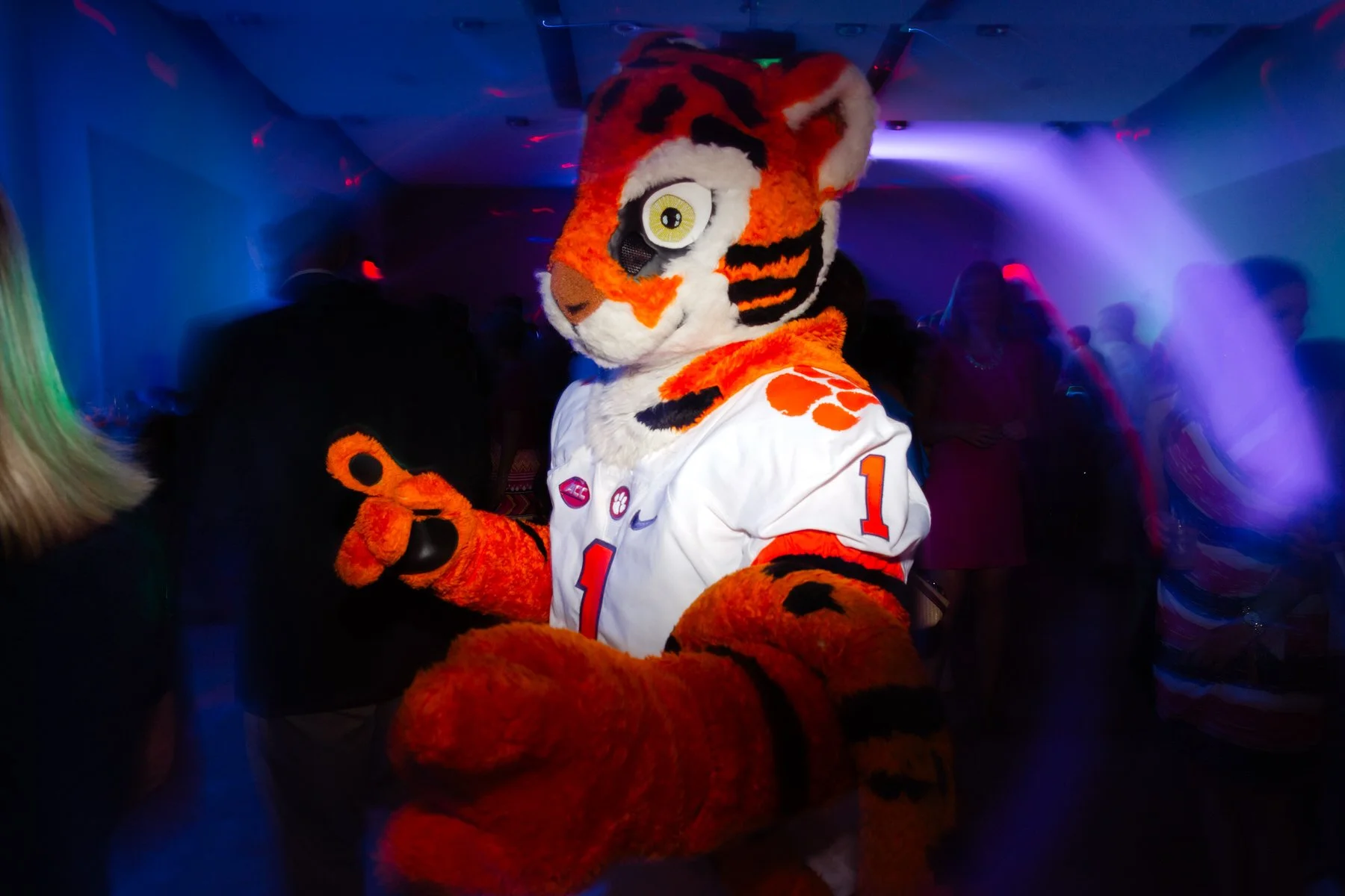 clemson-tiger-mascot-dancing-wedding-greenville-one.jpg