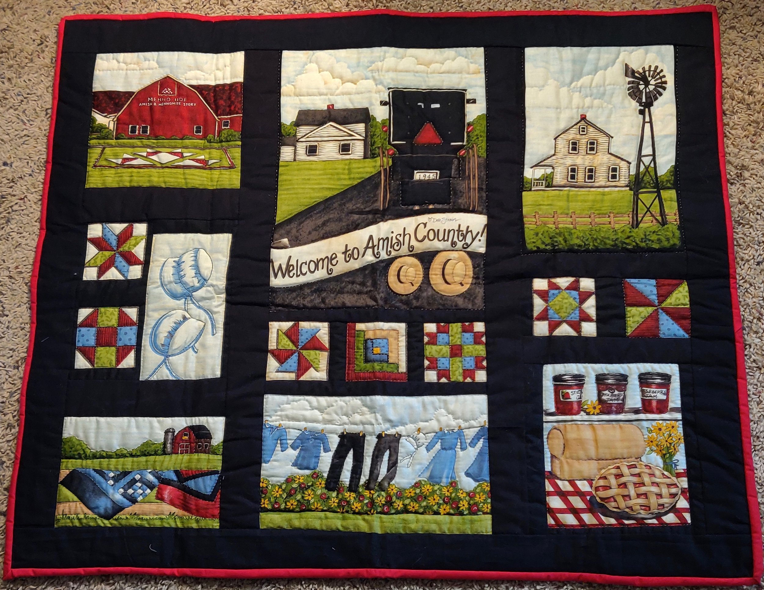 Amish Country, Pieced, Hand Quilted, donated by Sharon Swartzendruber, 36 wide, 31” long