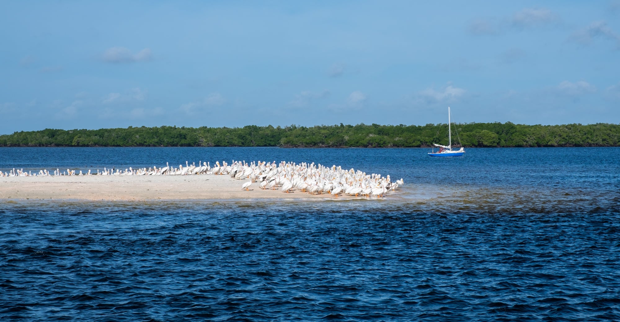 Everglades National Park — The Greatest American Road Trip