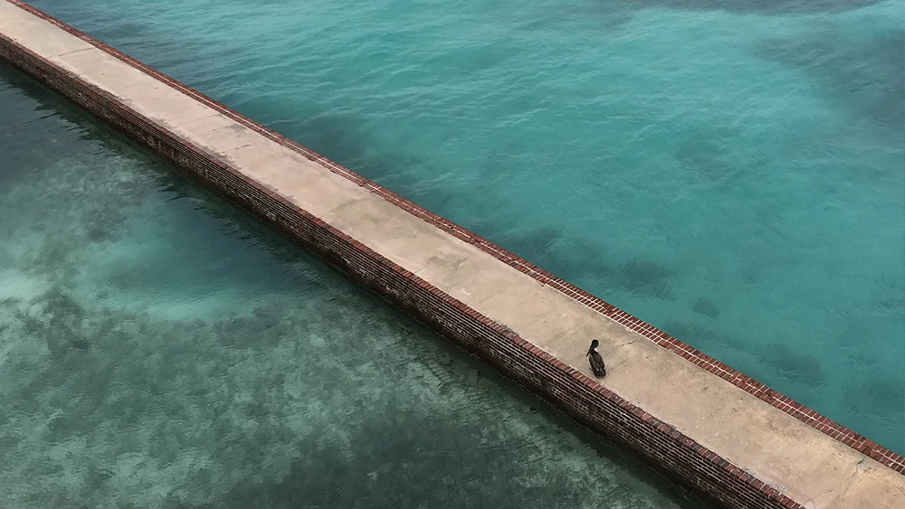 The moat wall at Fort Jefferson on Garden Key at Dry Tortugas National Park, Florida. Credit: Jonathan Irish