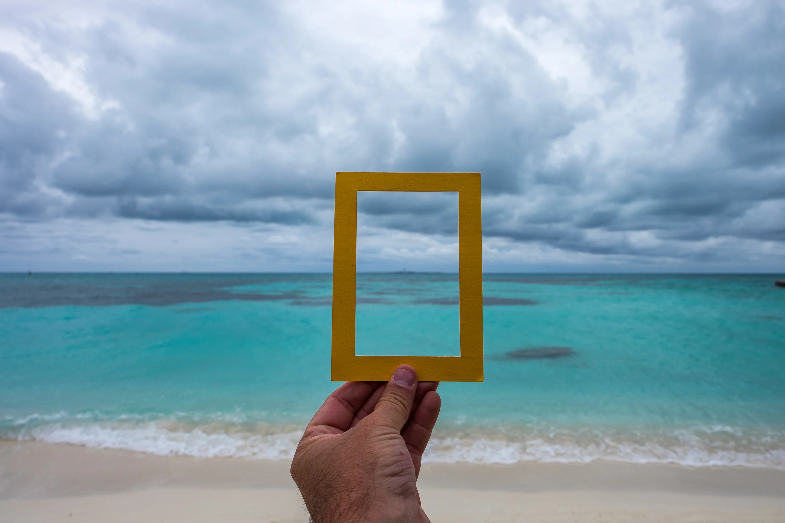 We've Added New Pages to Our Website