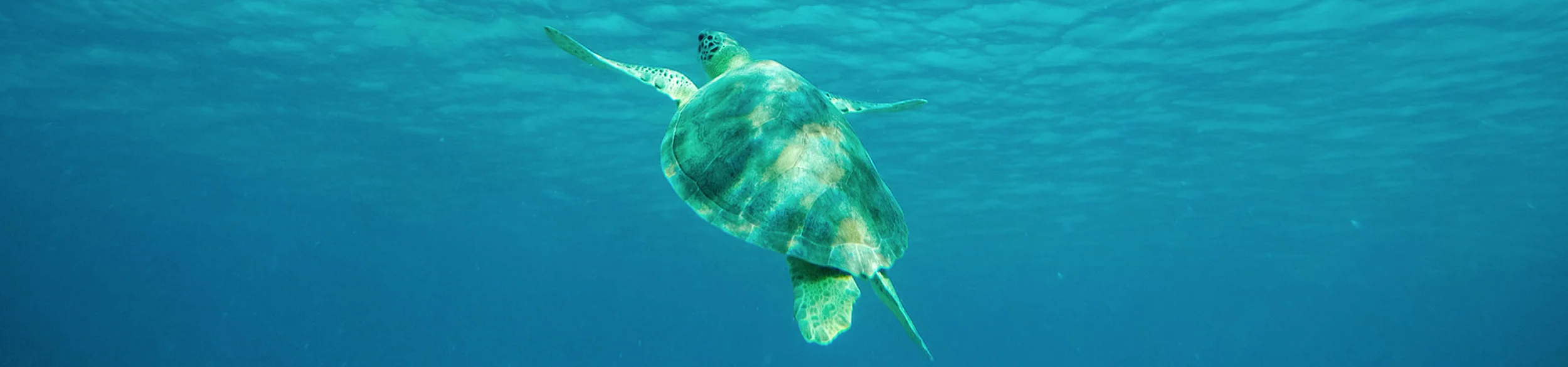 59in52_banner-USVI-national-park.jpg