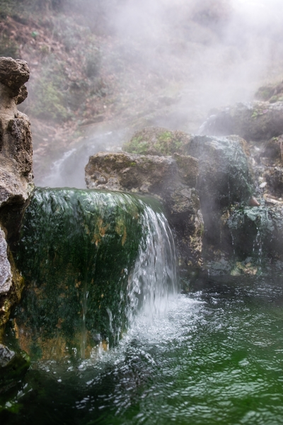 "Valley of the Vapors" in Hot Springs National Park.