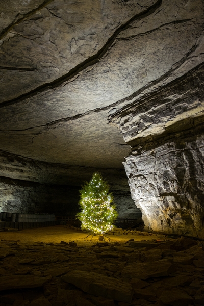 For many years, Mammoth Cave has been a house of music. This tree is leftover from 2015's holiday choir event. 