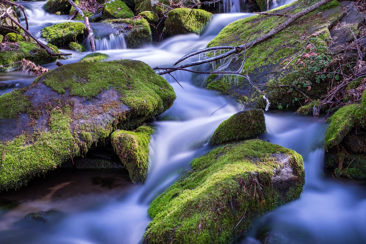 We happened upon the most beautiful brooks along Newfound Gap Road... this one's for all of you frothy water lovers out there! 