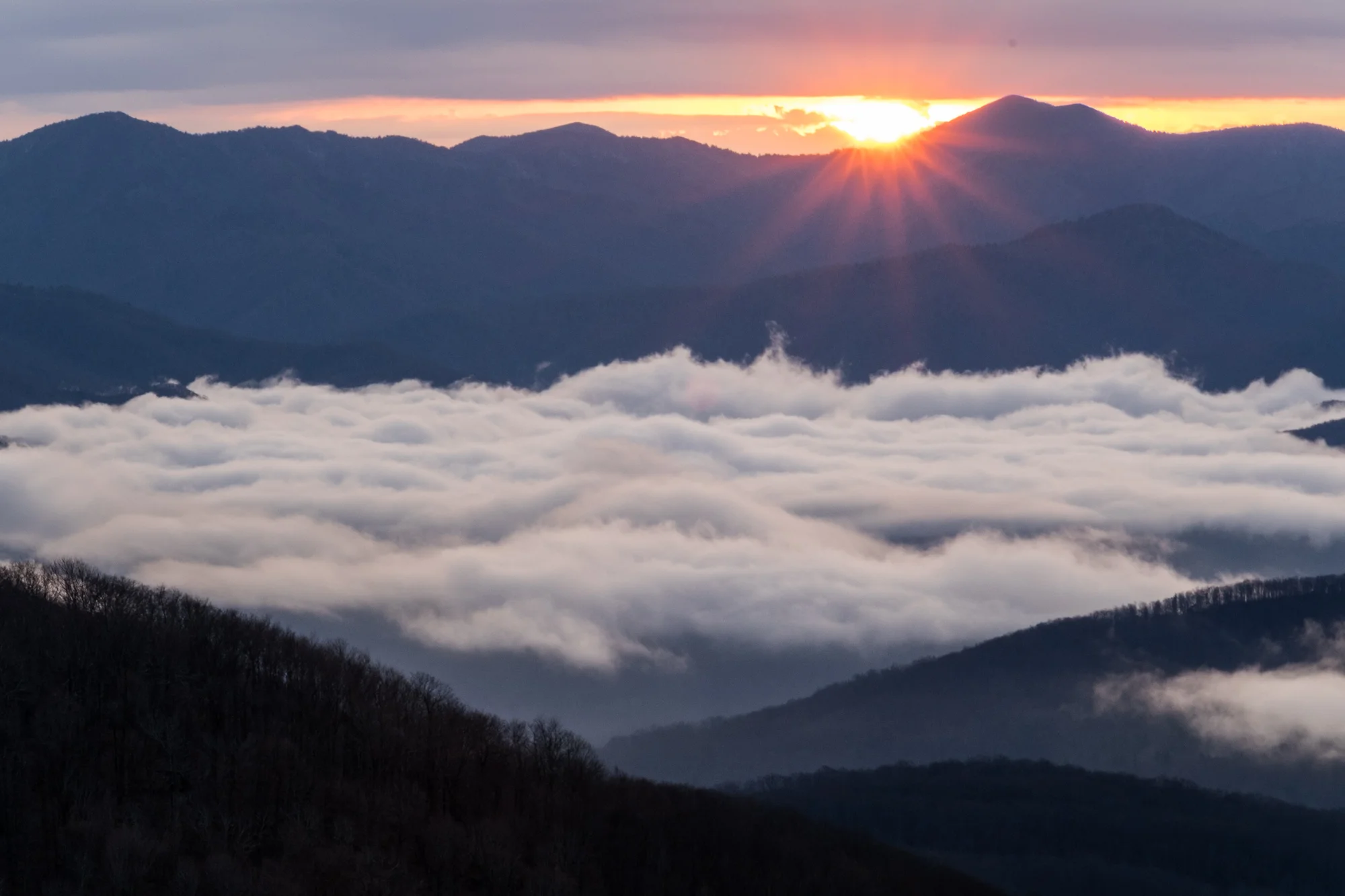 Misty sunrise over the Great Smoky Mountains