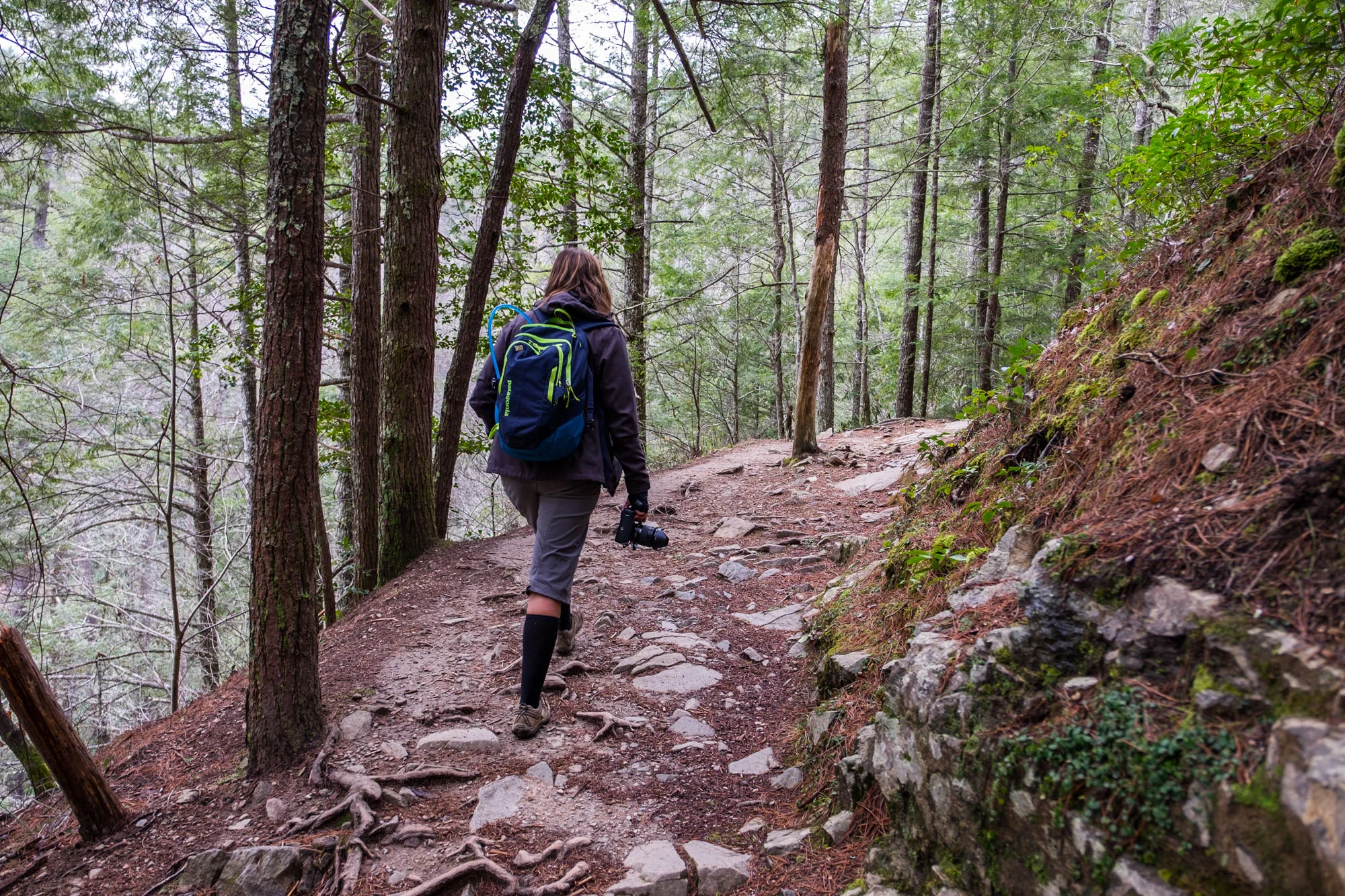 Featured image of post Backpacking Trails In Smoky Mountain National Park / Our trip begins at 9am today in beautiful great smoky mountains national park.