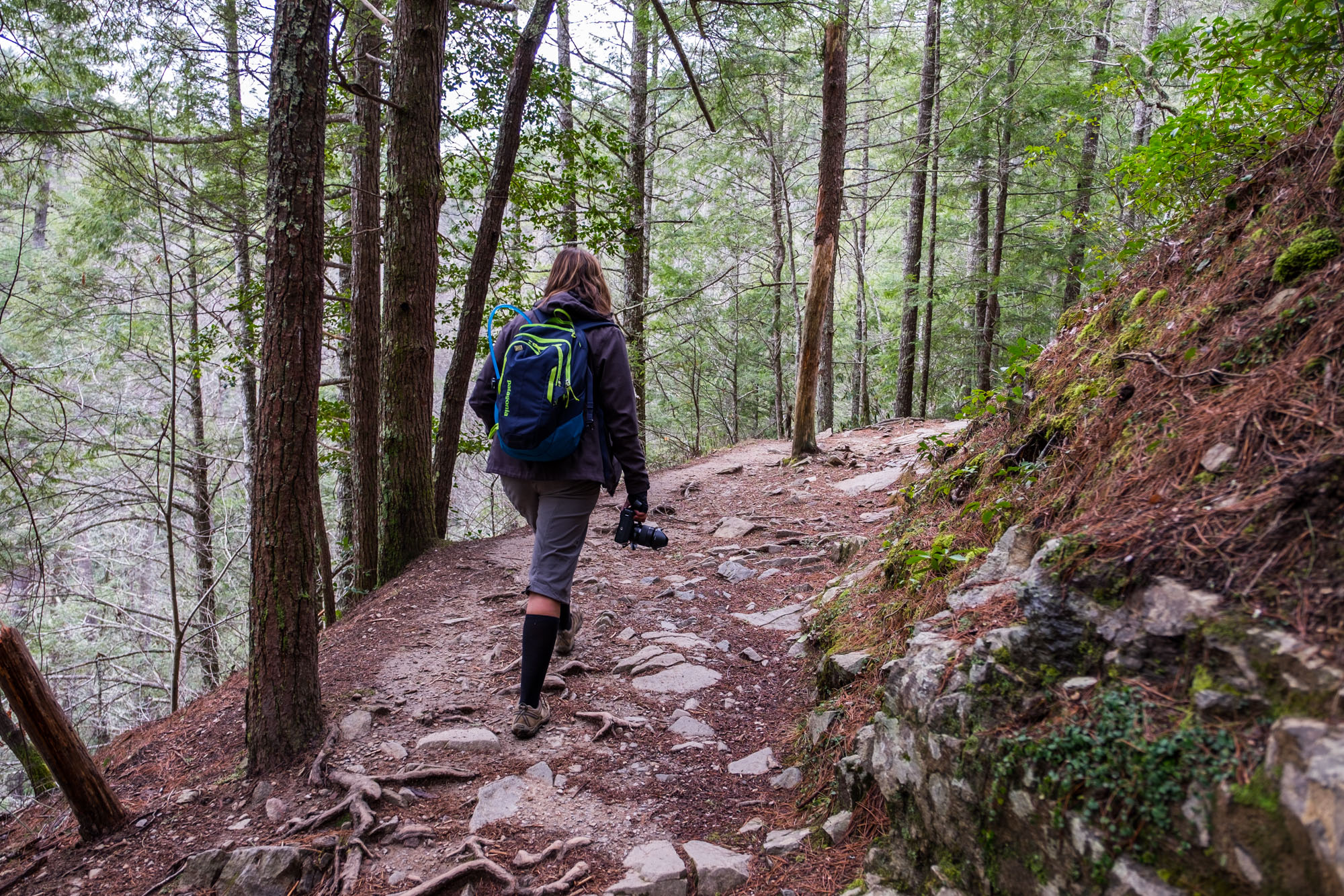 Featured image of post Best Hiking Trails Great Smoky Mountain National Park : Explore popular smoky mountain hiking trails this spring on your pigeon forge vacation, as well as some of the best hiking trails for kids.