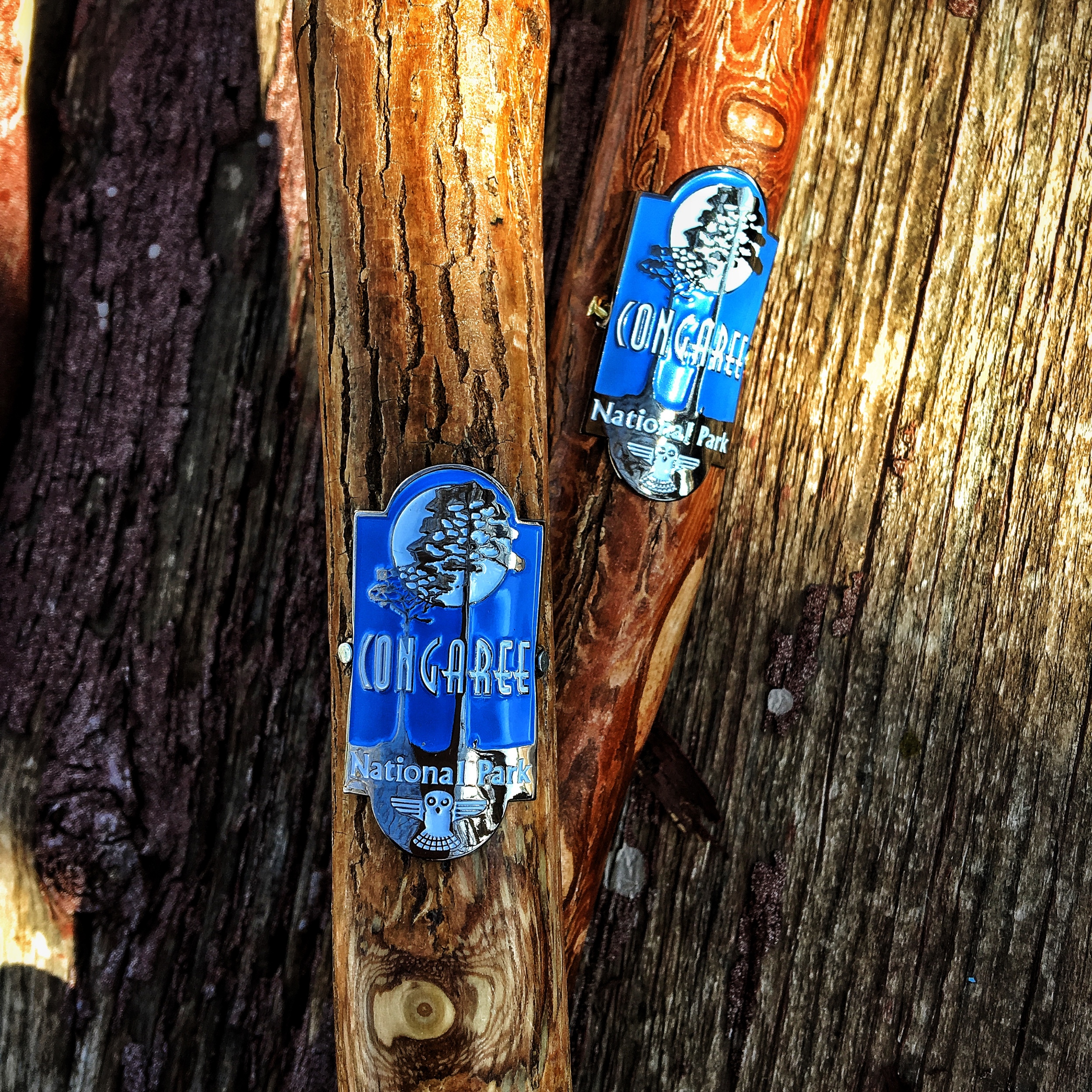 Hiking stick medallions from Congaree National Park