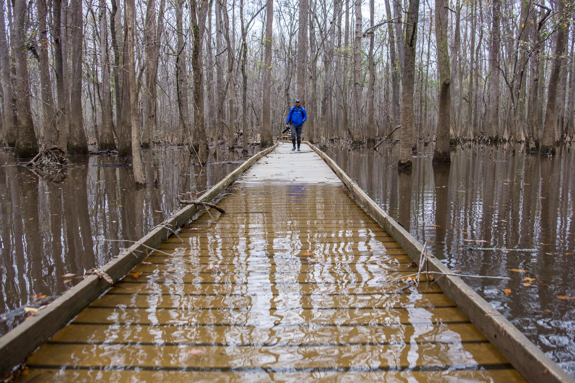 Jonathan enters a flooded Congaree National Park. 