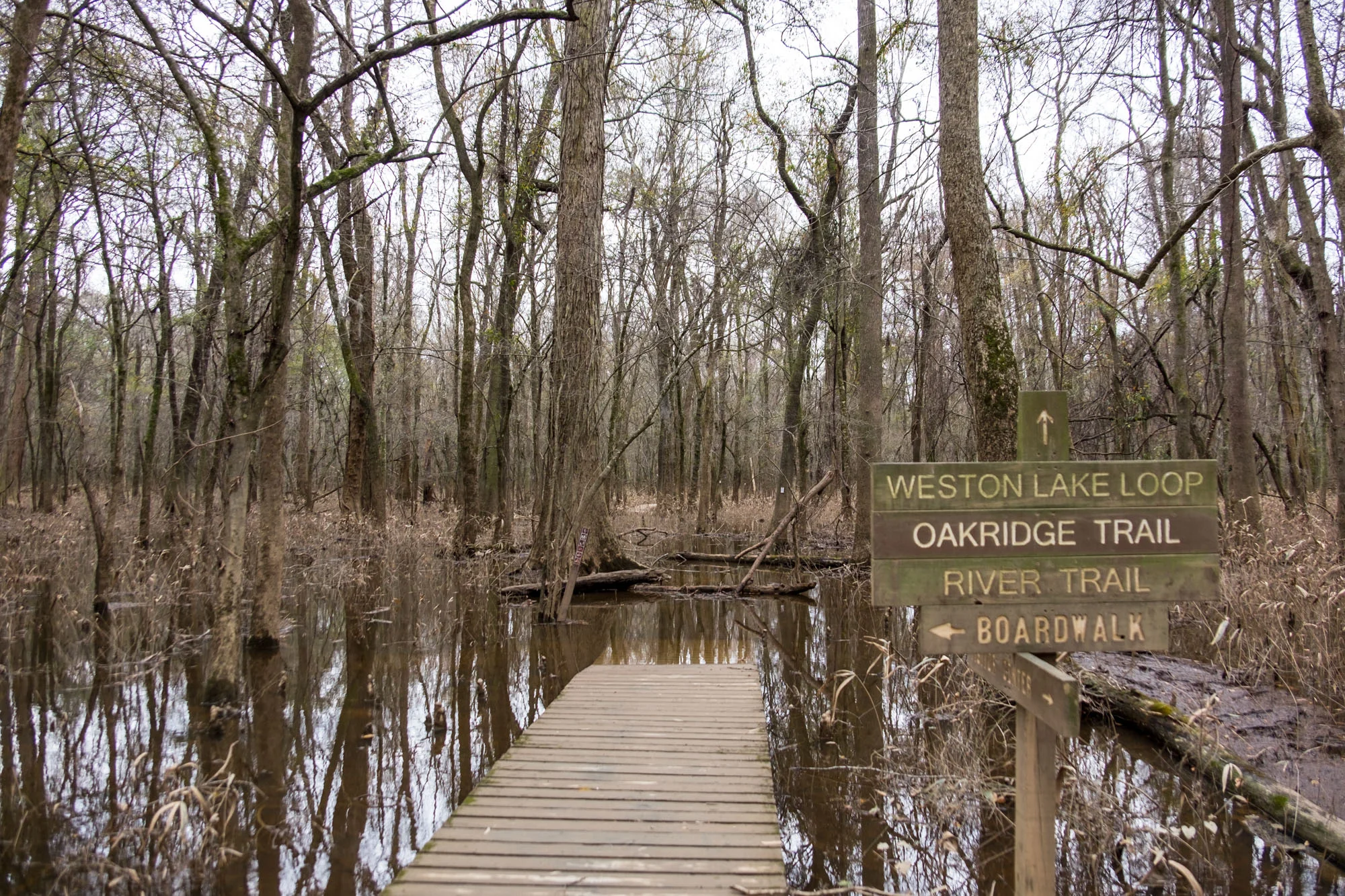 We made the smart decision of continuing on along the Weston Lake Loop. 