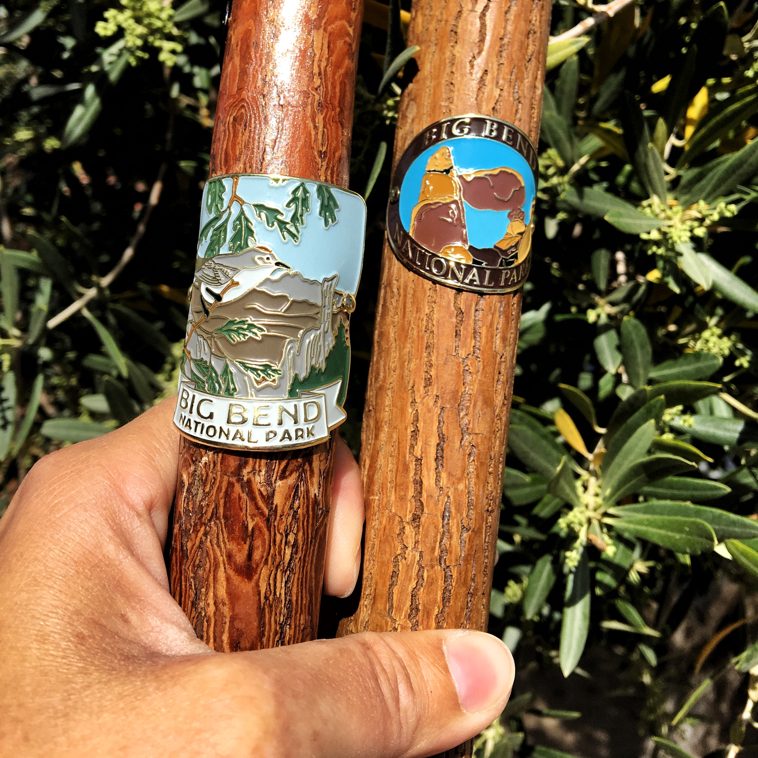  National Park medallions from Big Bend National Park in Texas. 