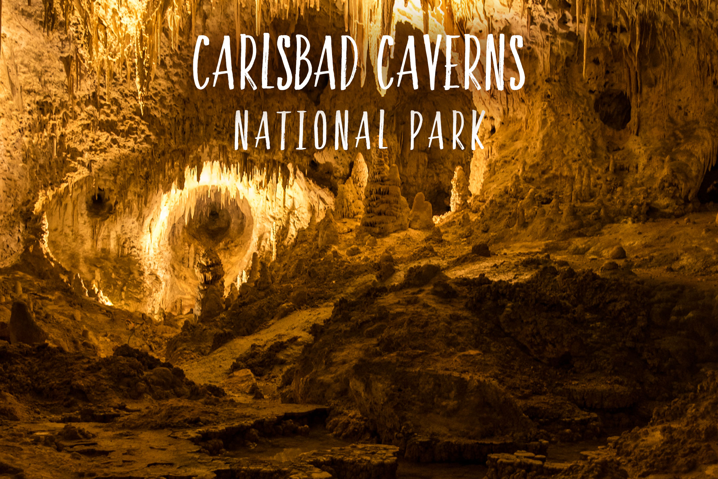 Carlsbad Caverns National Park | Park 13/59