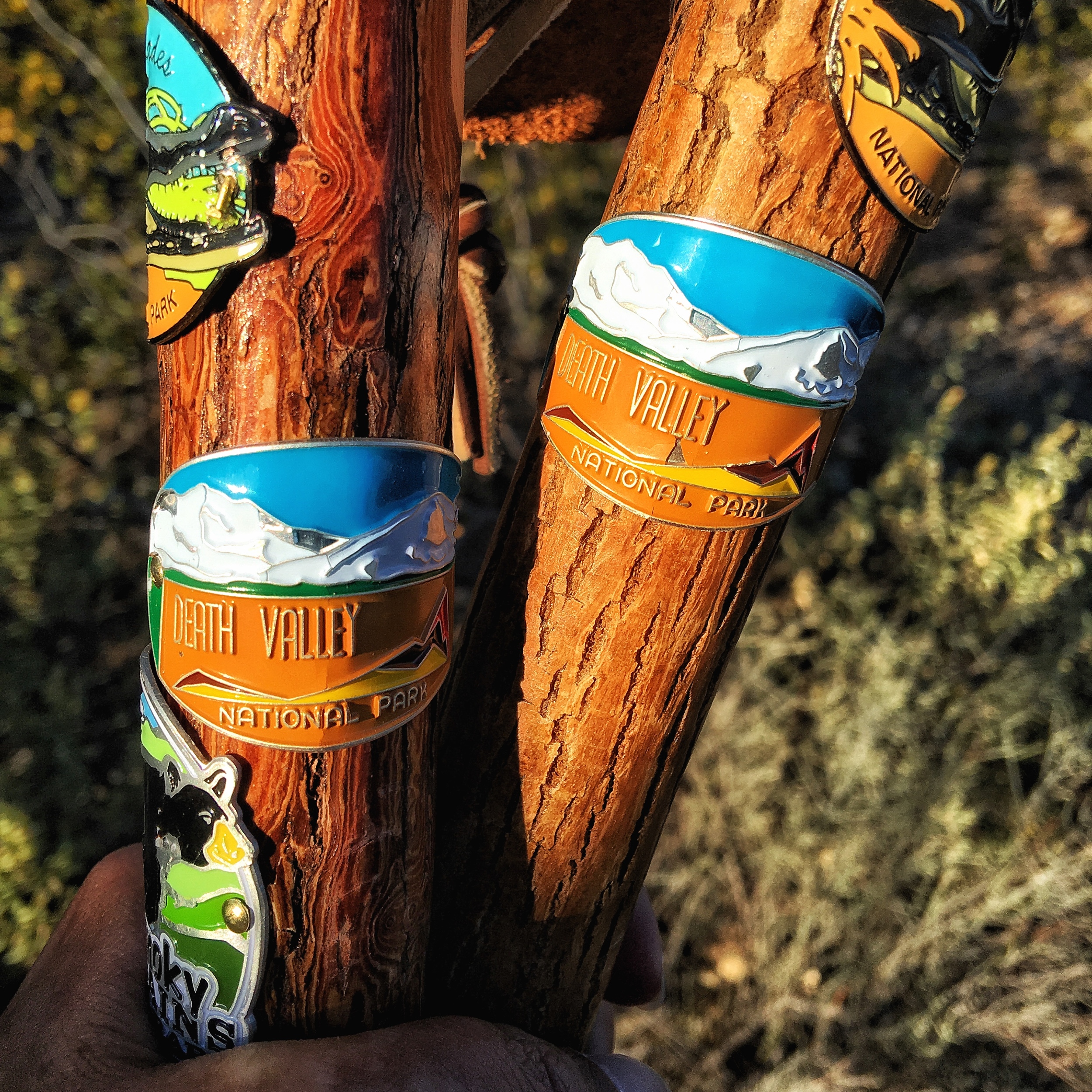 Hiking stick medallions from Death Valley National Park. 