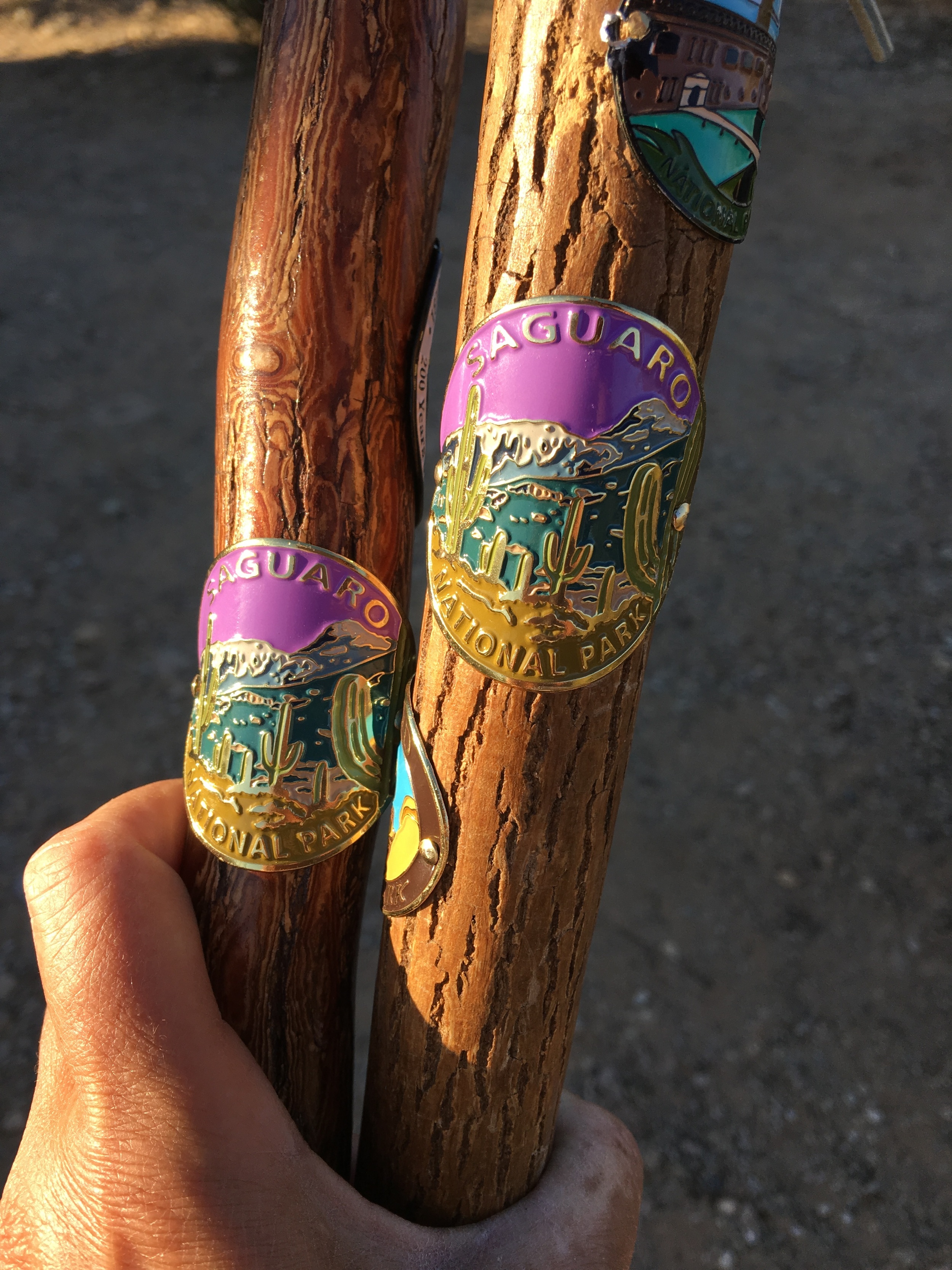 Hiking stick medallions from Saguaro National Park in Arizona