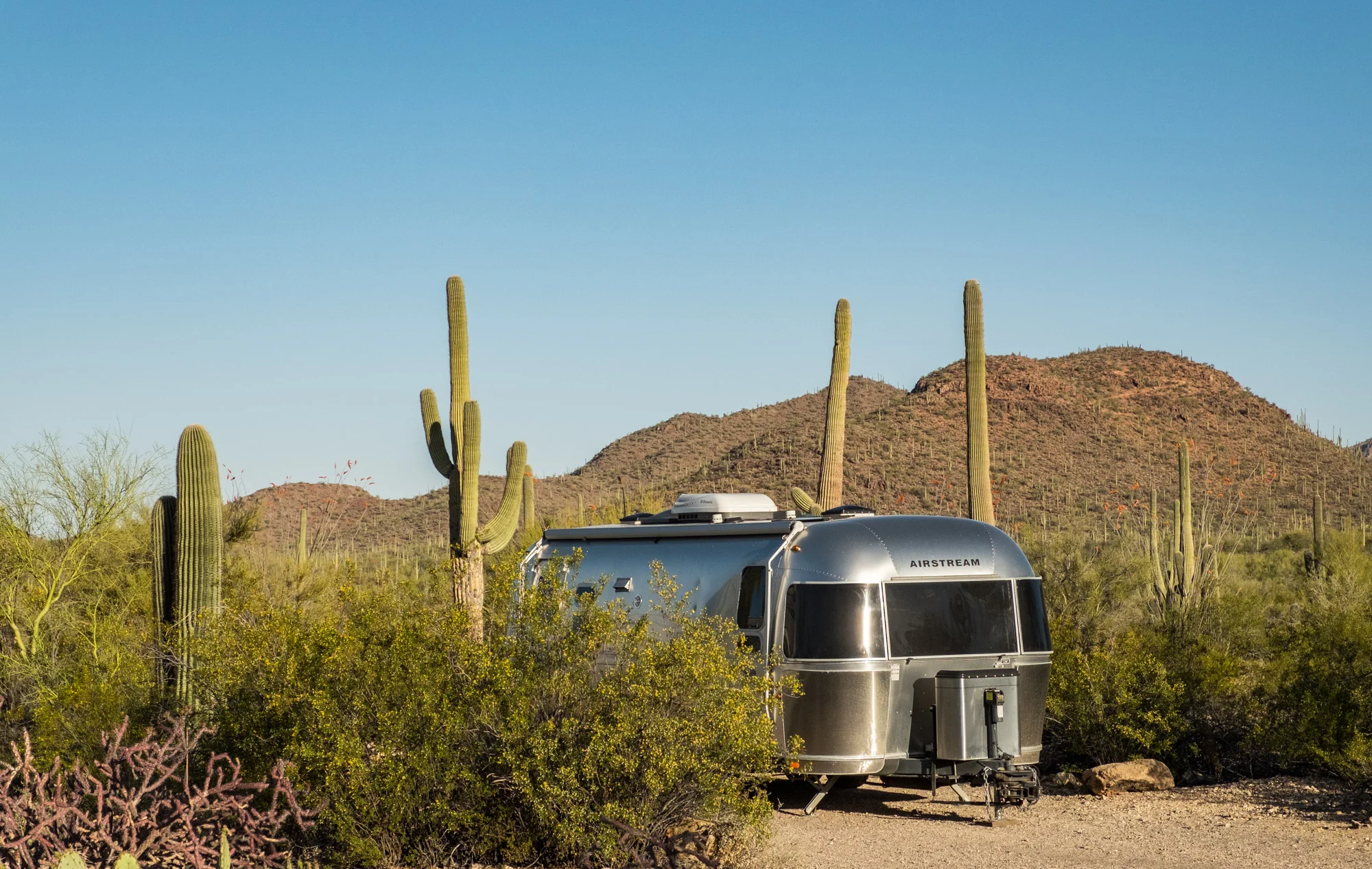 Our back-in campsite in Saguaro National Park.